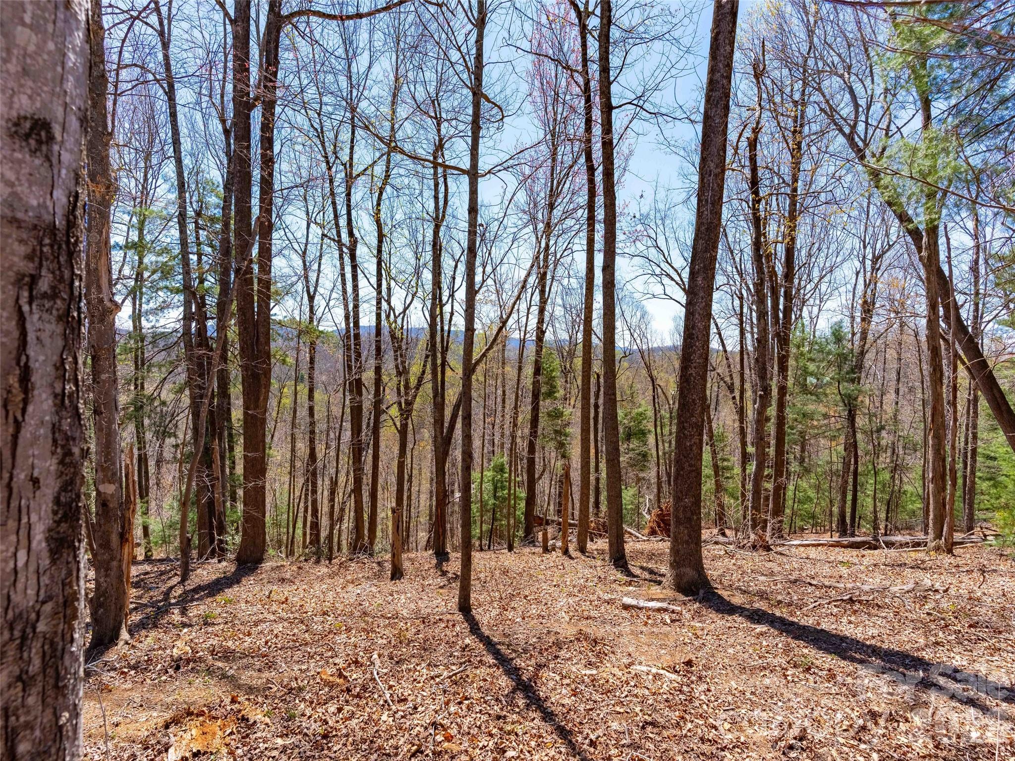 000 Glen Echo Circle Property Photo 17