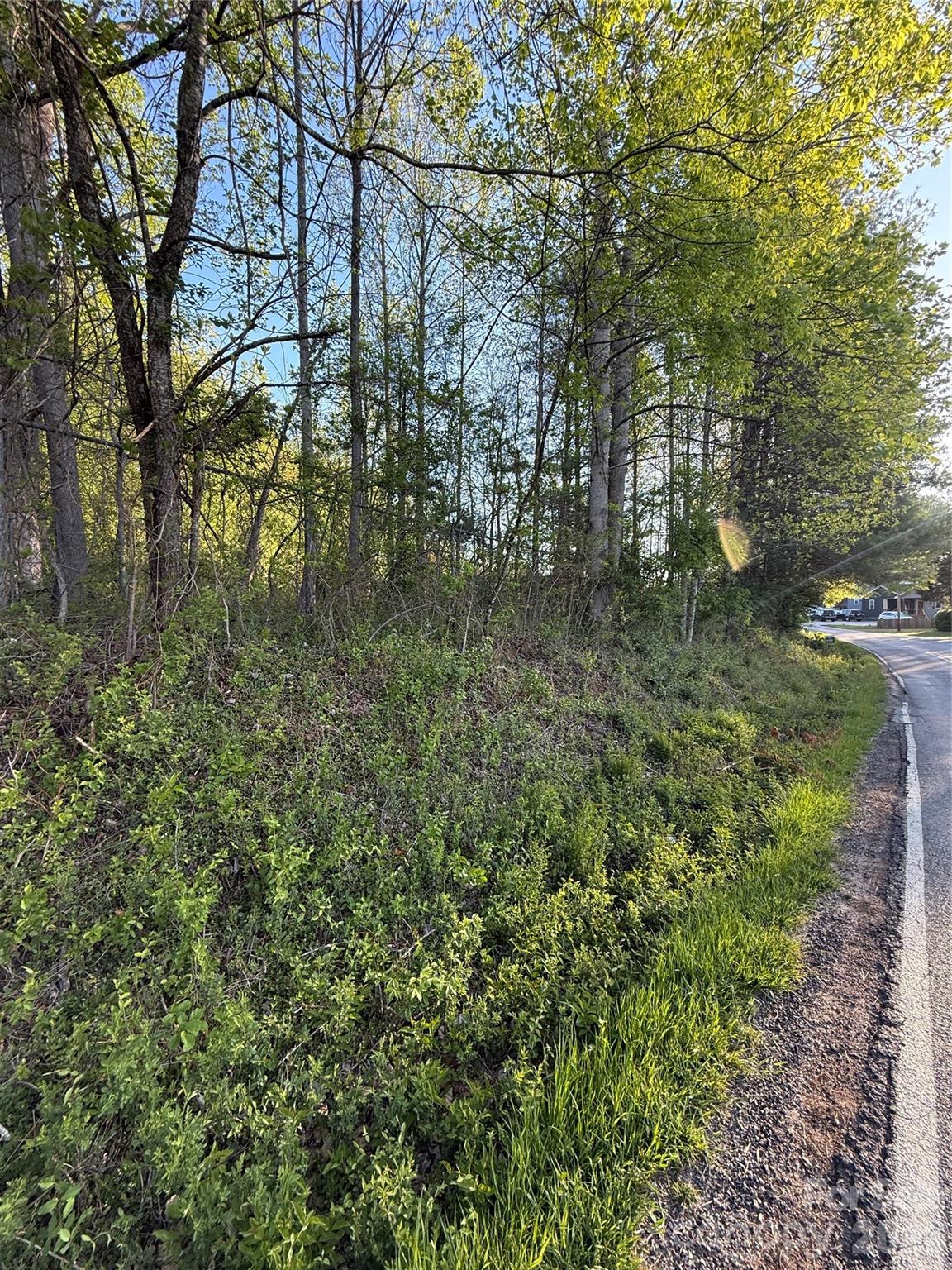 00 Cashiers Valley Road Tract 2 Property Photo 6