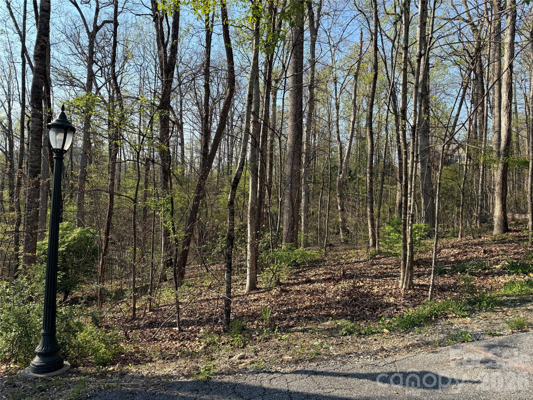 000 Woodlyn Etch Drive Property Photo 14