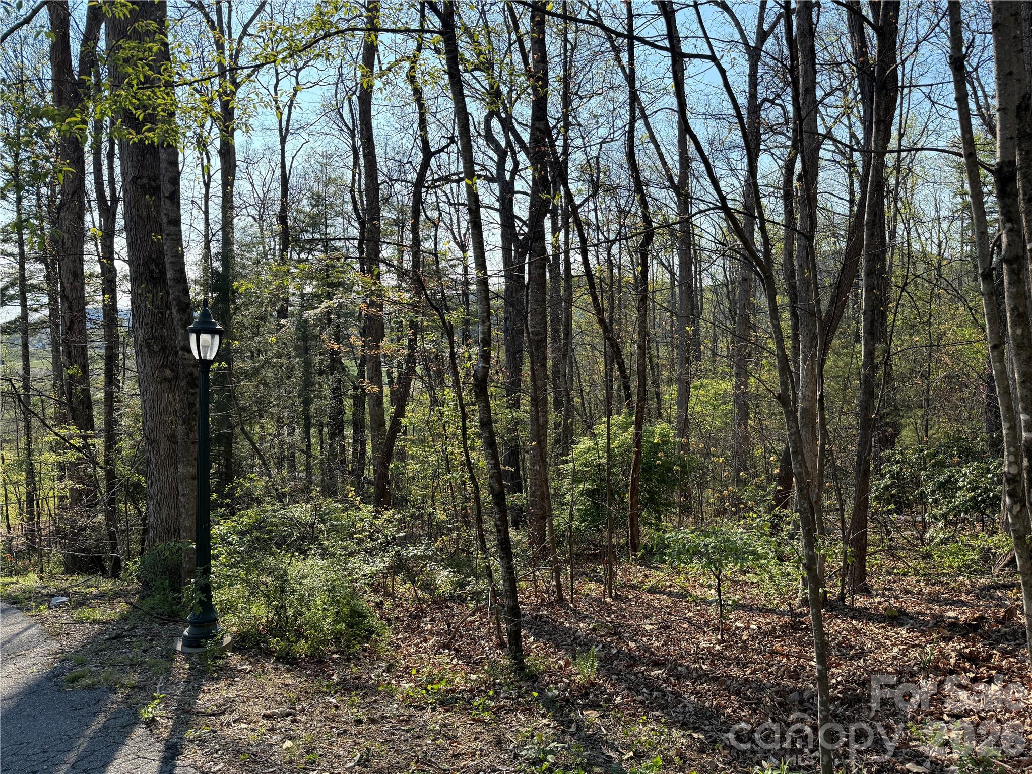 000 Woodlyn Etch Drive Property Photo 15