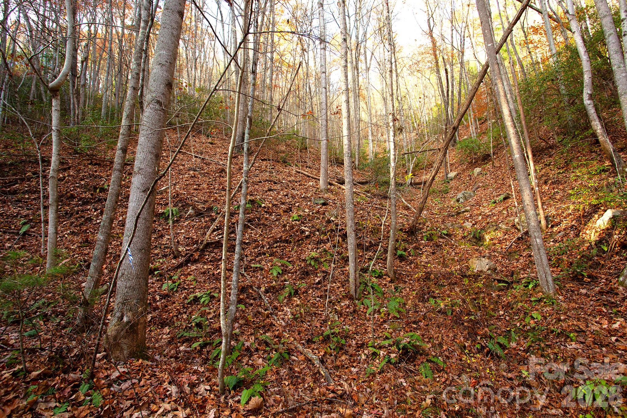 Tbd Rector Branch Road 4 Property Photo 1