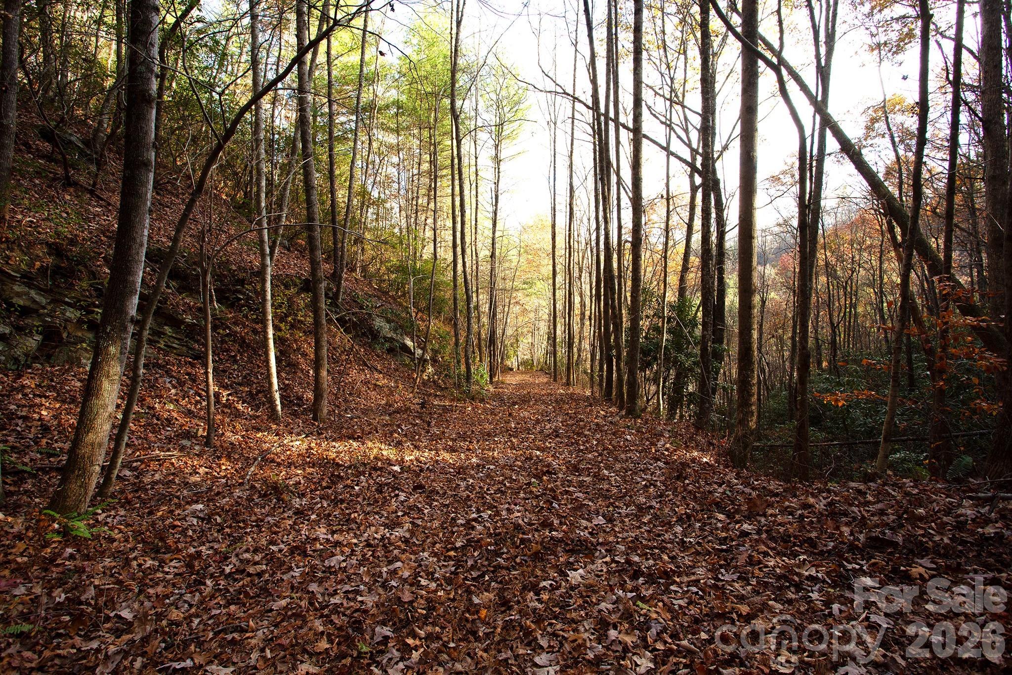 Tbd Rector Branch Road 4 Property Photo 2
