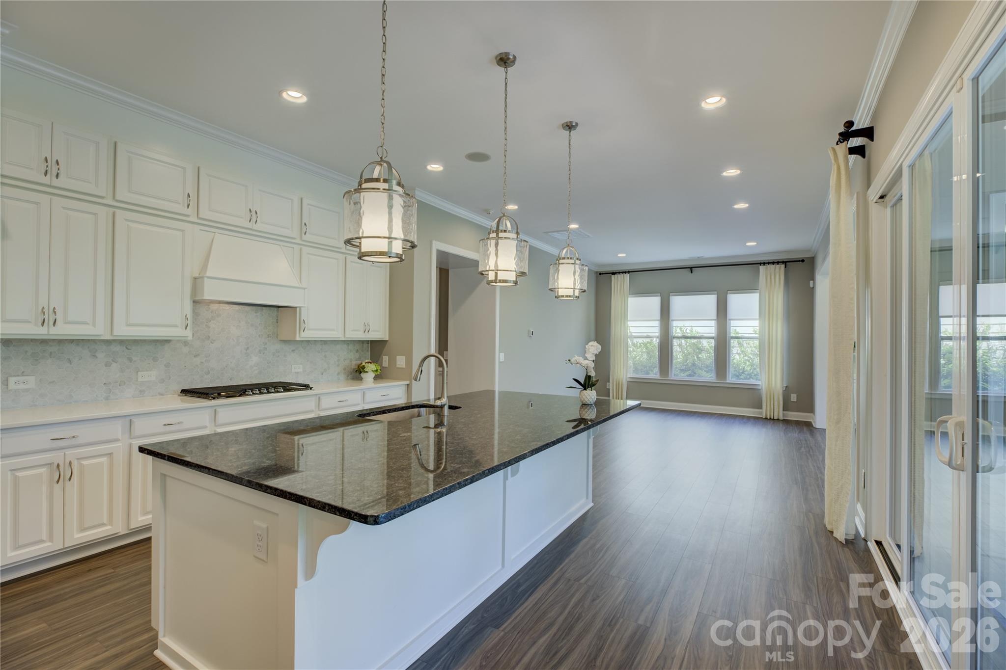 15512 Aviary Orchard Way Property Photo 12