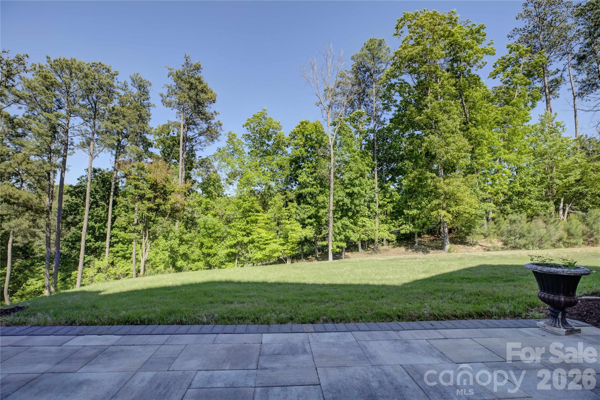 15512 Aviary Orchard Way Property Photo 46