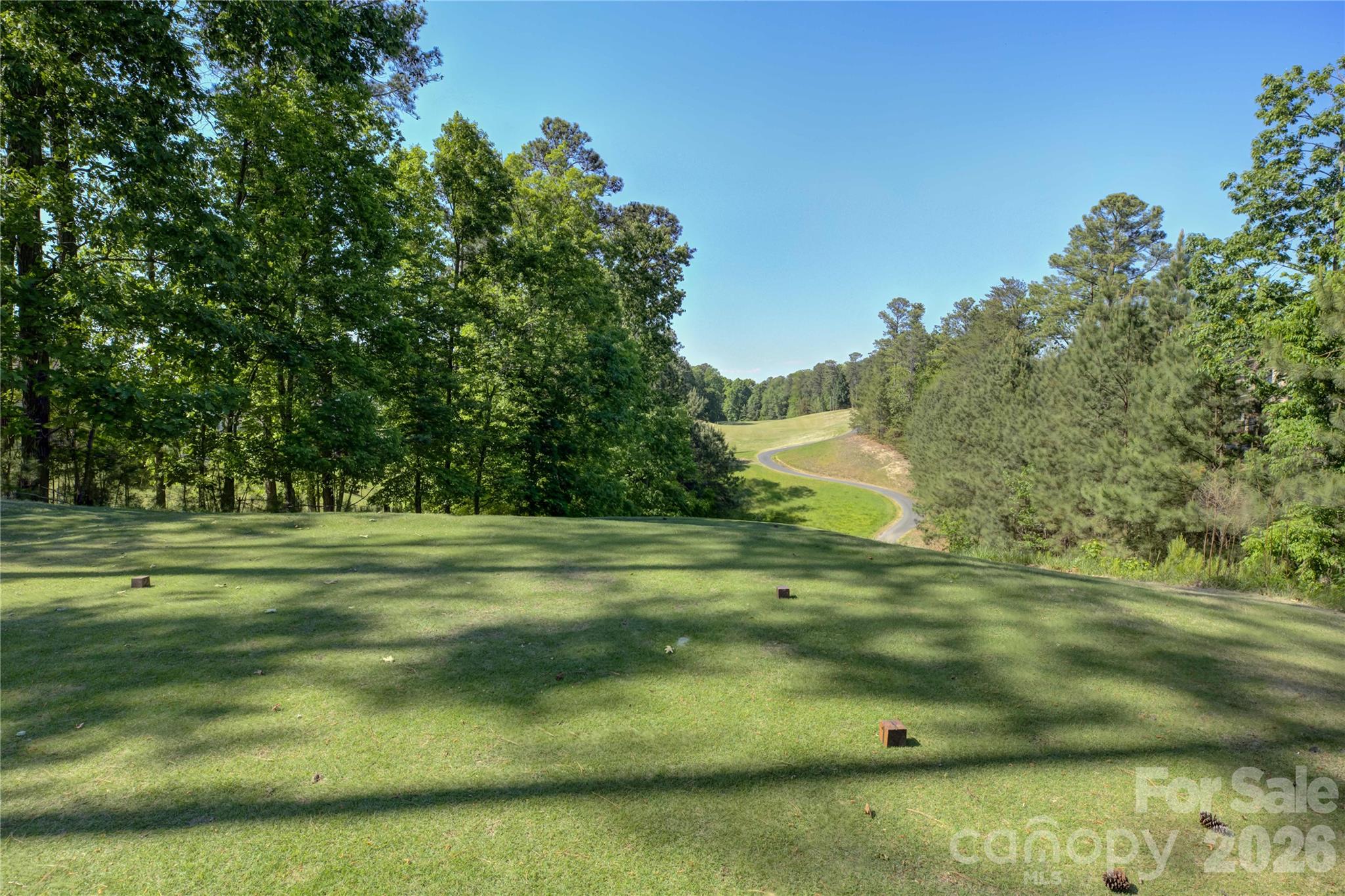15512 Aviary Orchard Way Property Photo 47