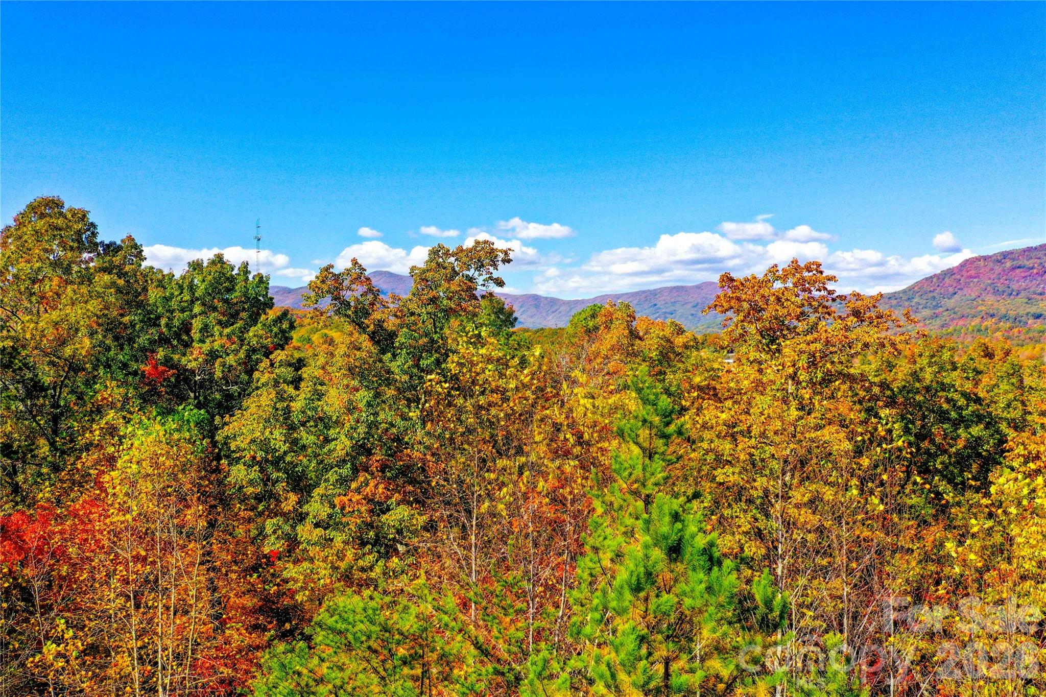 0 High Pines Loop 157 Property Photo 2