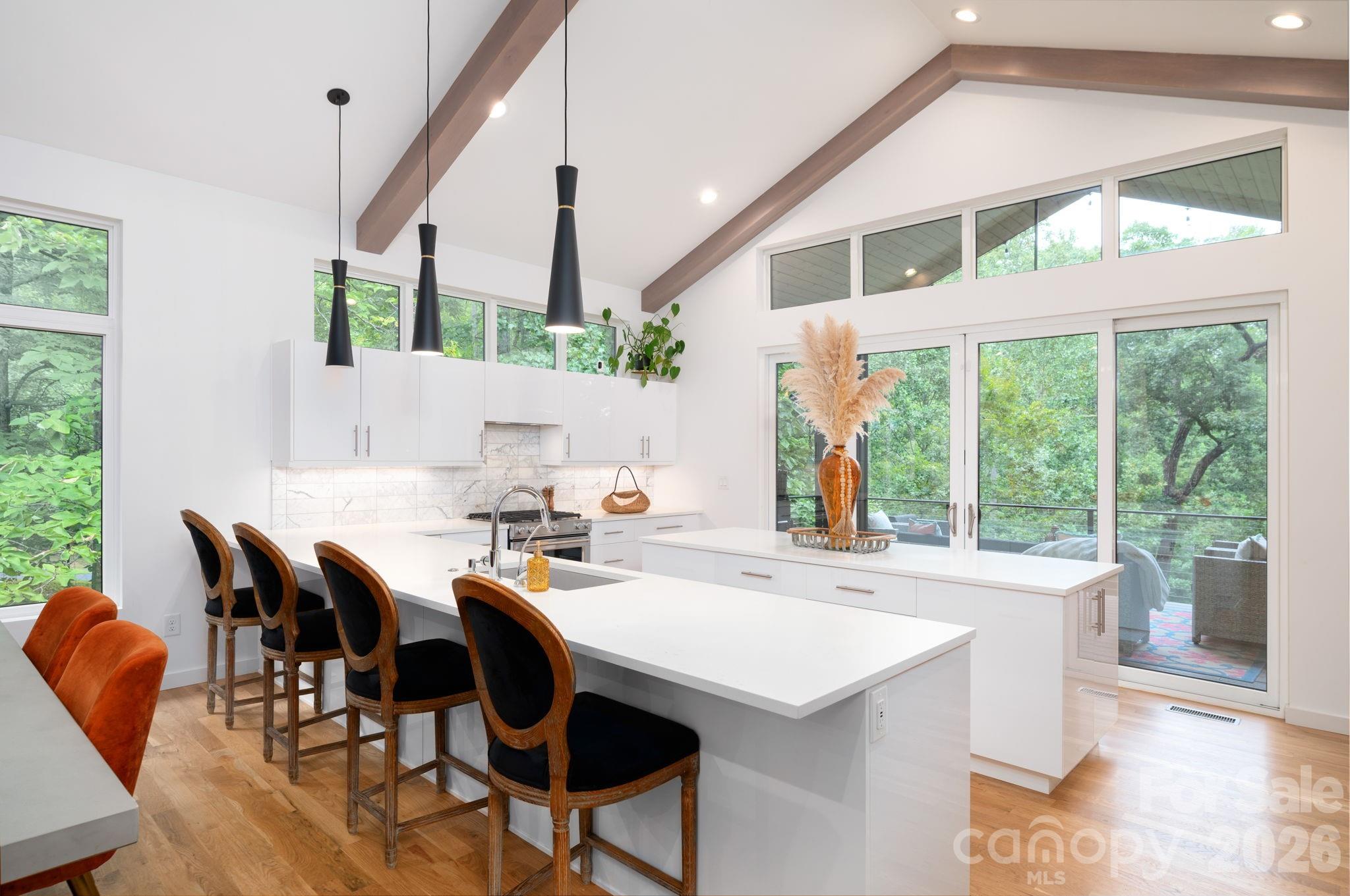 559 Shining Rock Path Property Photo 8