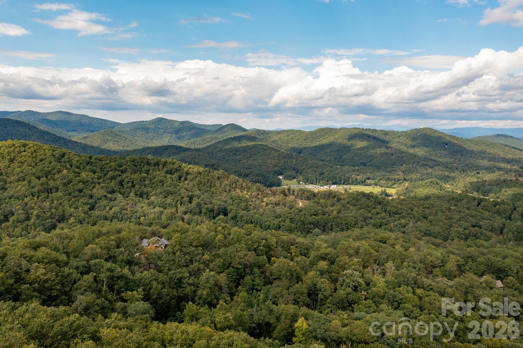 559 Shining Rock Path Property Photo 36
