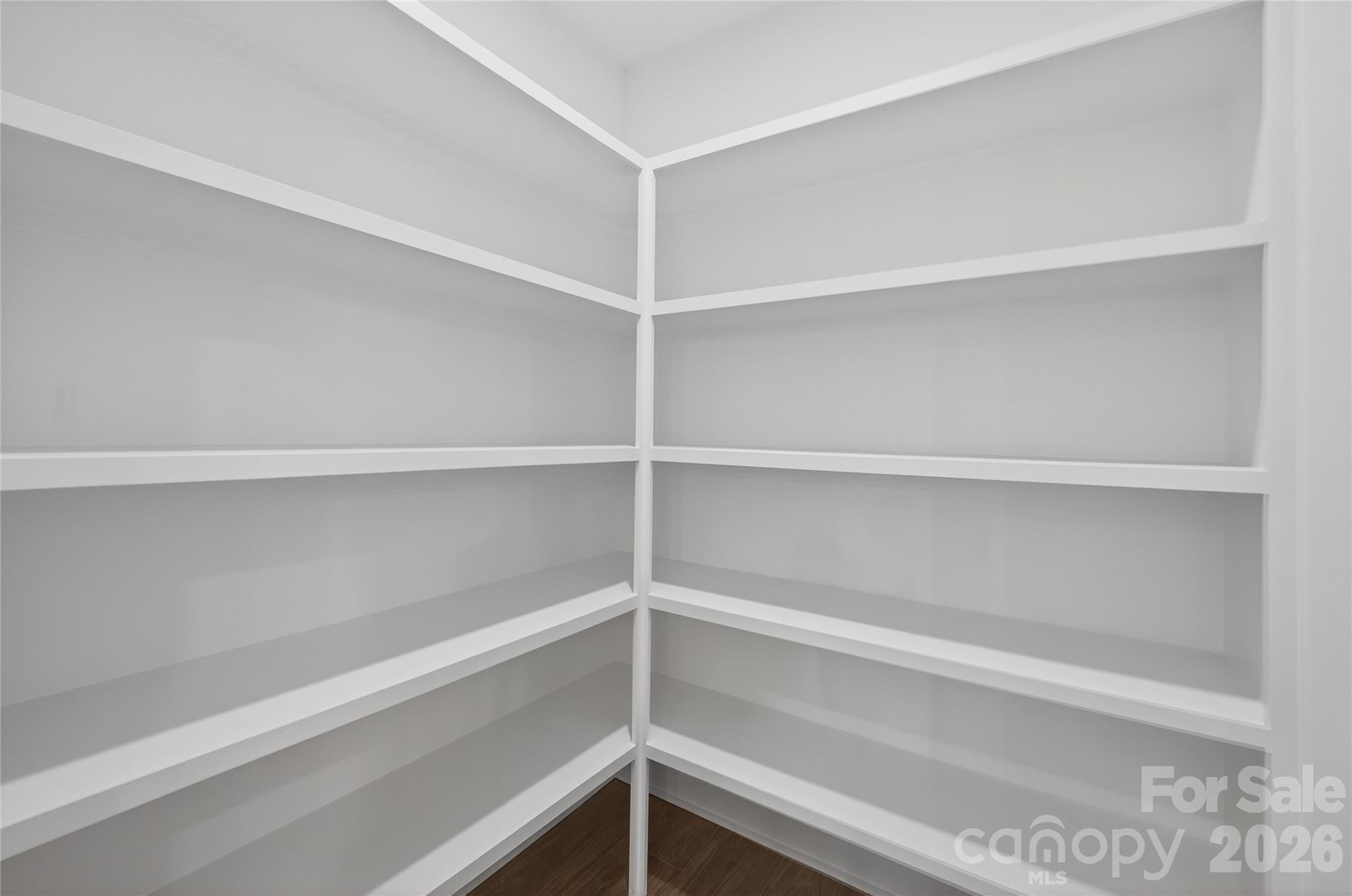 3219 Credenza Road Property Photo 7
