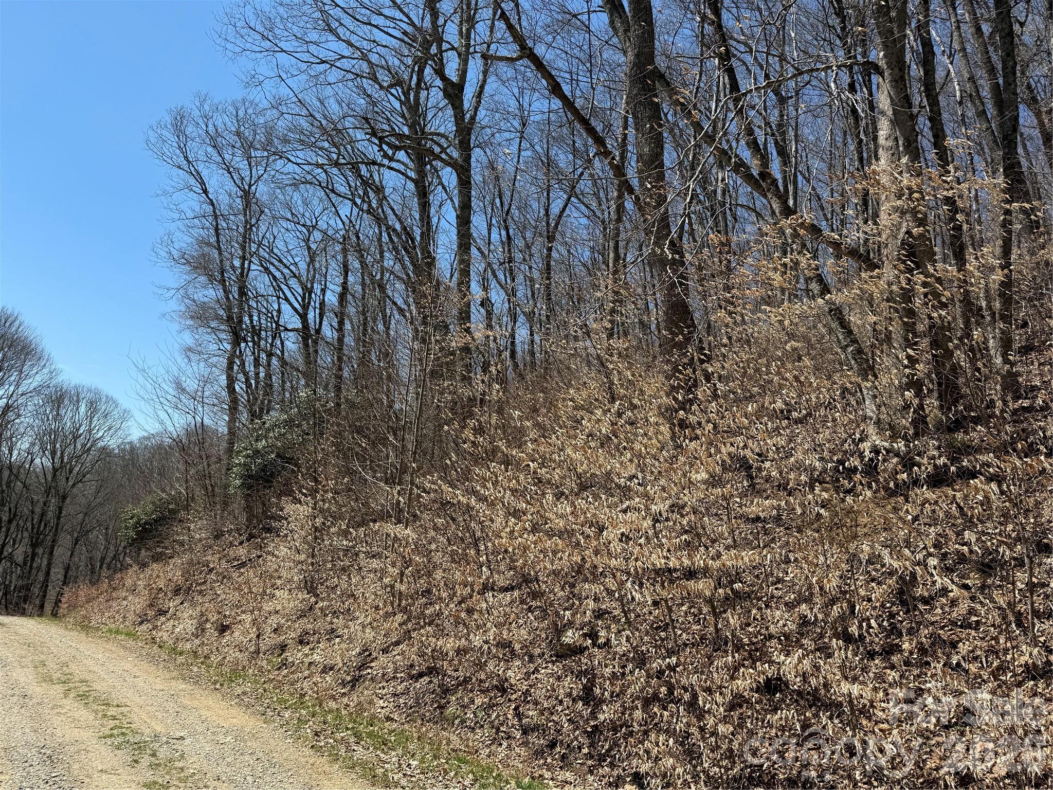 000 Granny Shepherd Road Lot 2