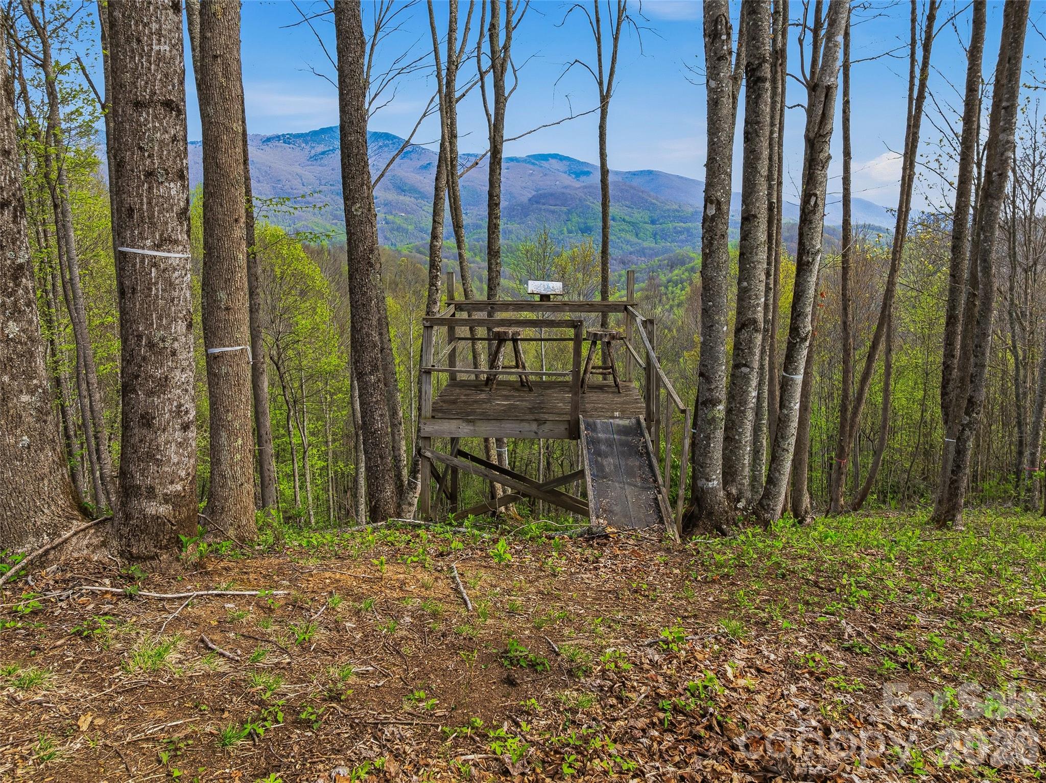 #227 Flying Dutchman Road Property Photo 1
