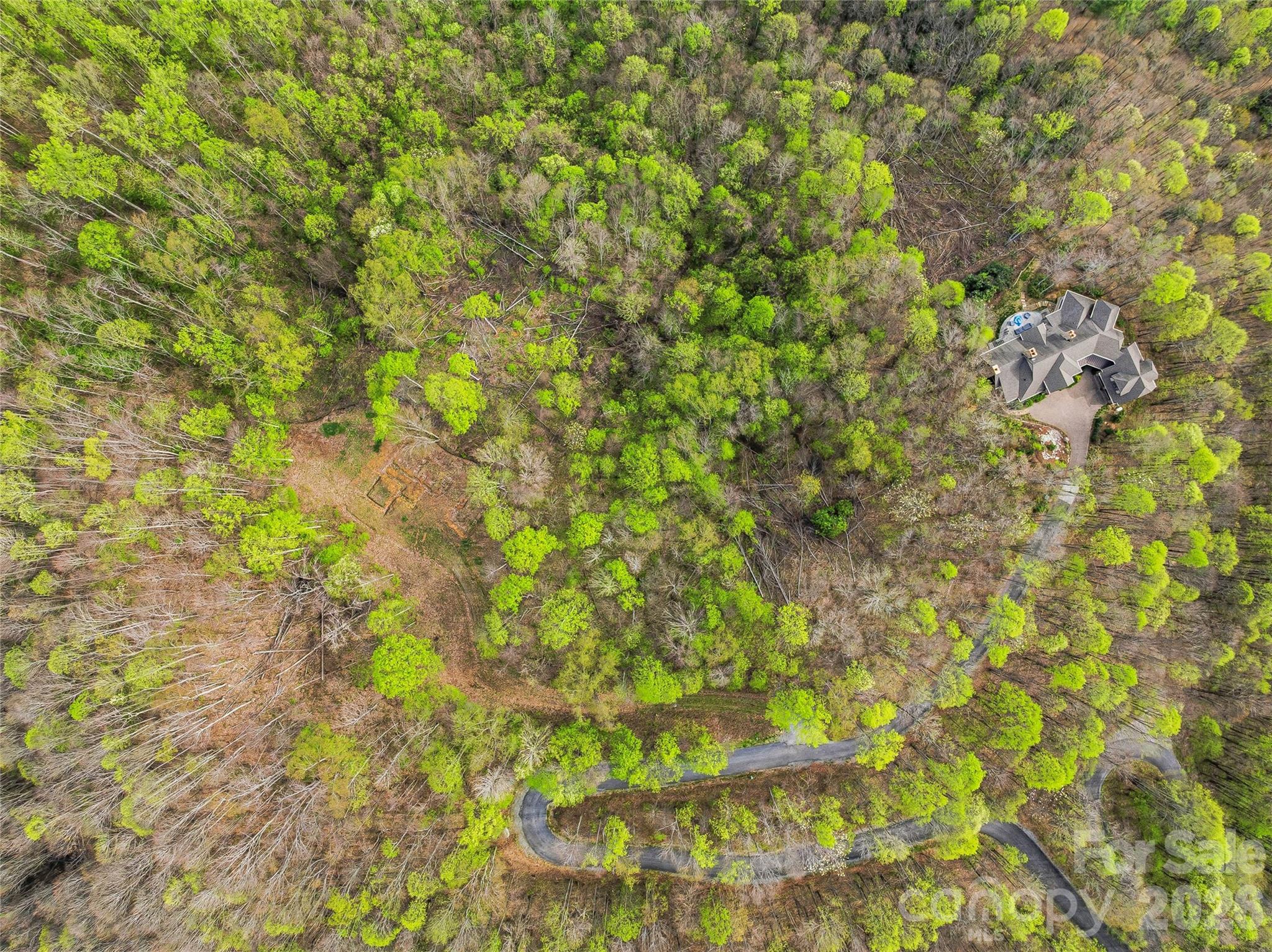 #227 Flying Dutchman Road Property Photo 3