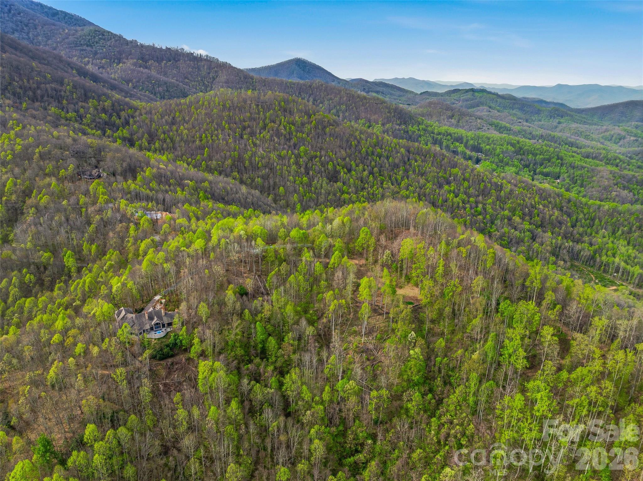 #227 Flying Dutchman Road Property Photo 5