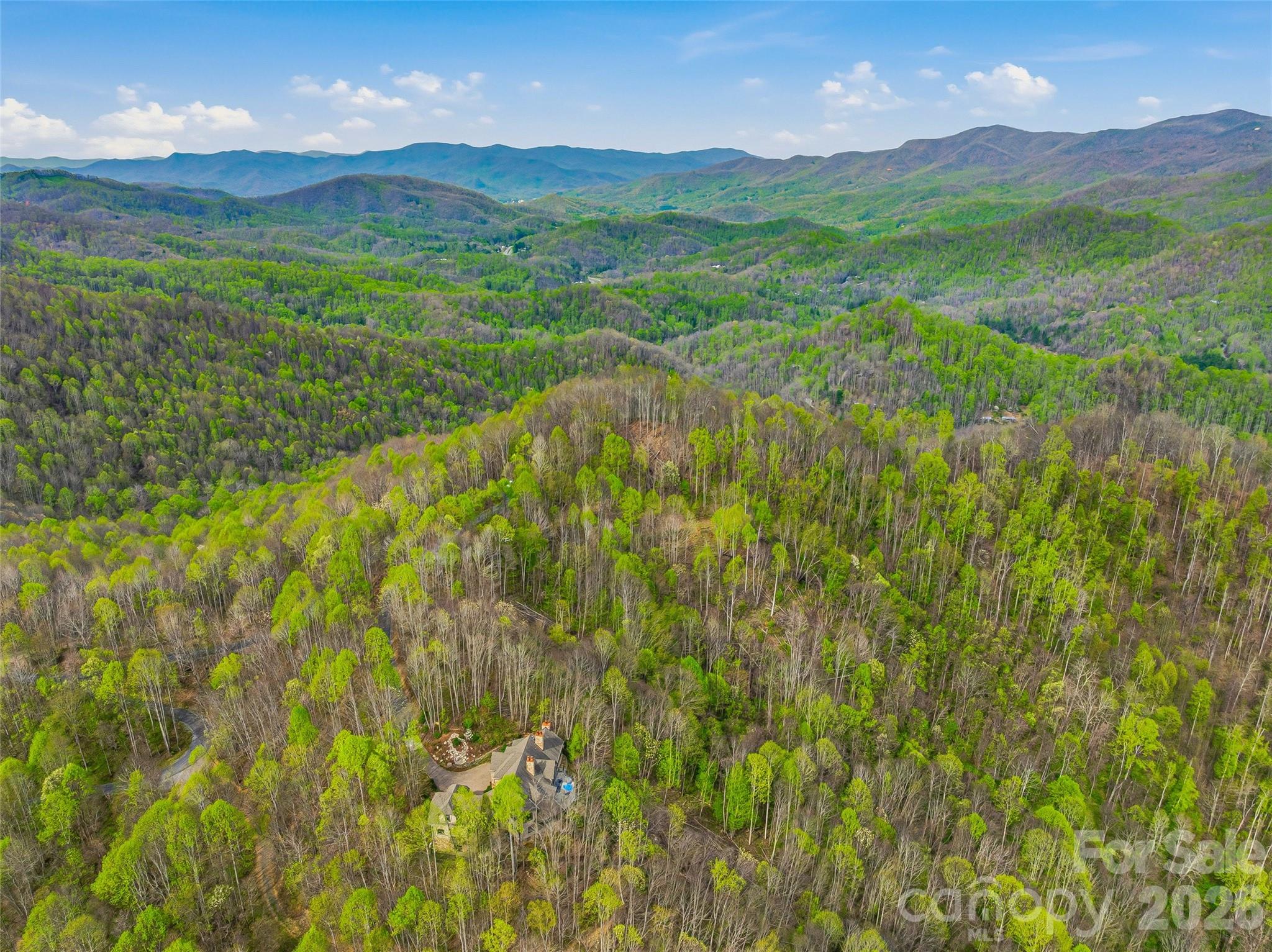 #227 Flying Dutchman Road Property Photo 7