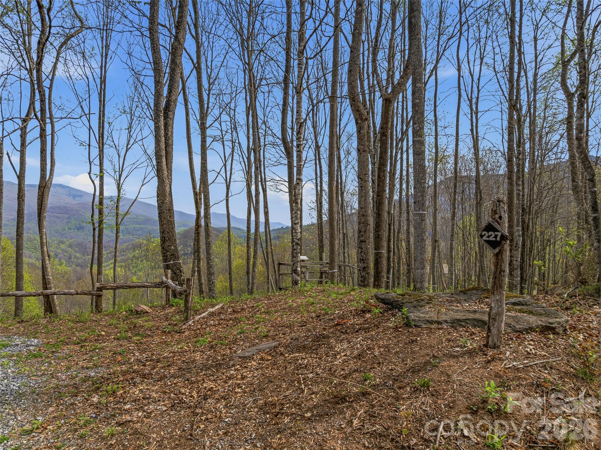 #227 Flying Dutchman Road Property Photo 9