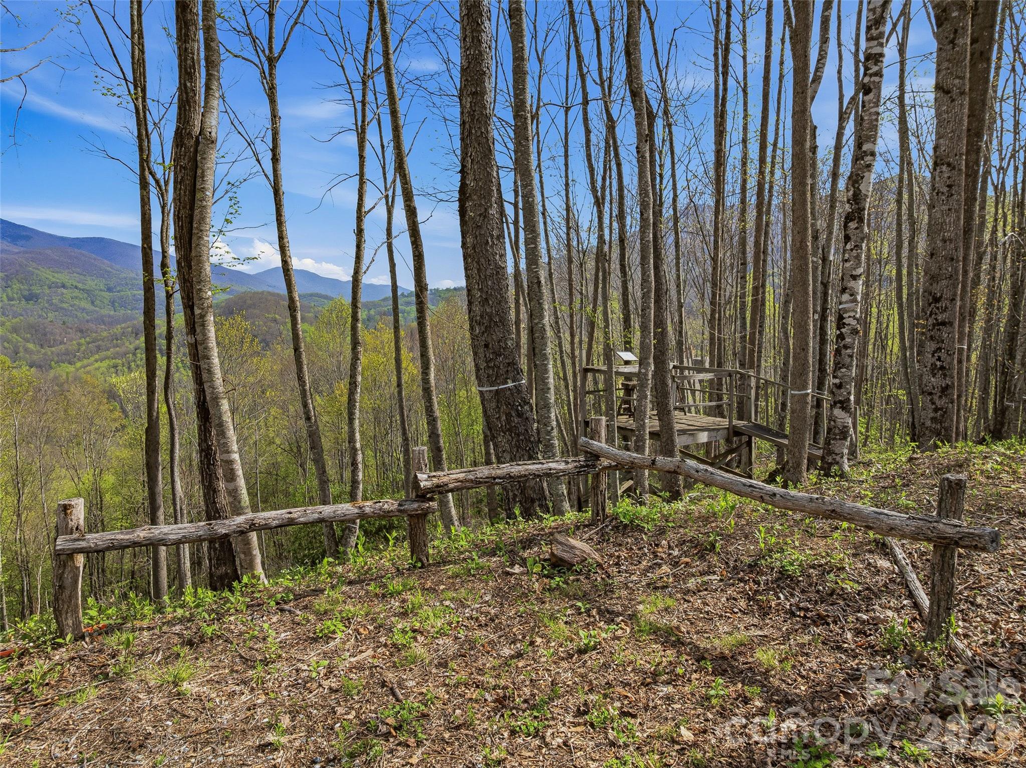 #227 Flying Dutchman Road Property Photo 11