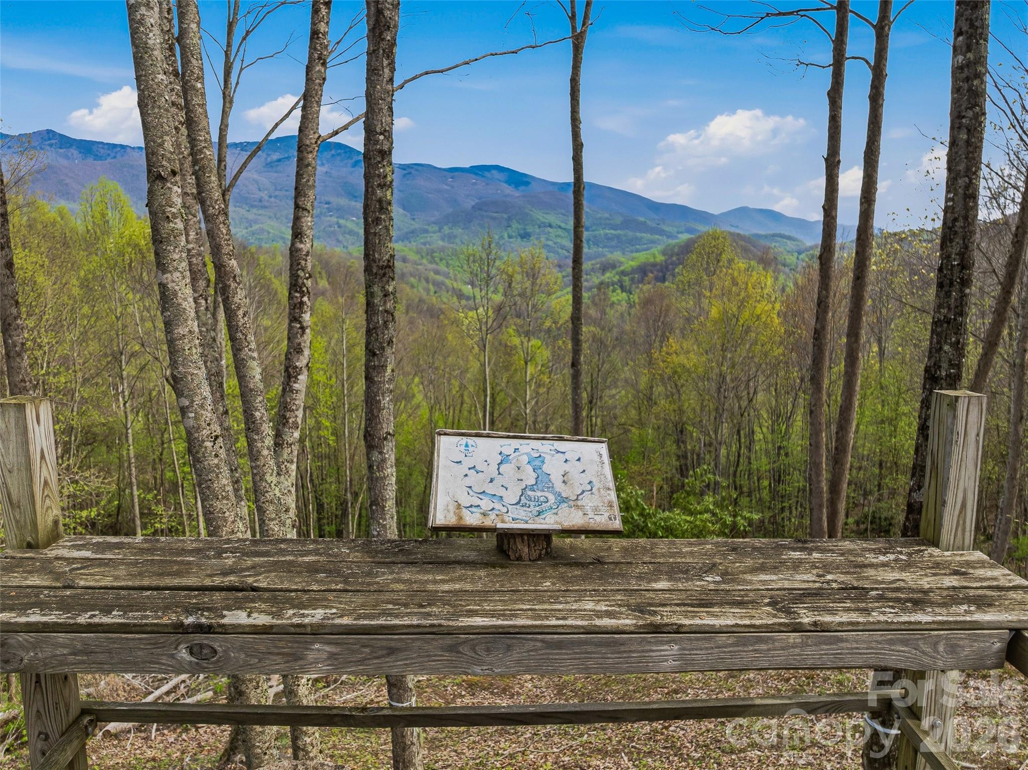#227 Flying Dutchman Road Property Photo 13