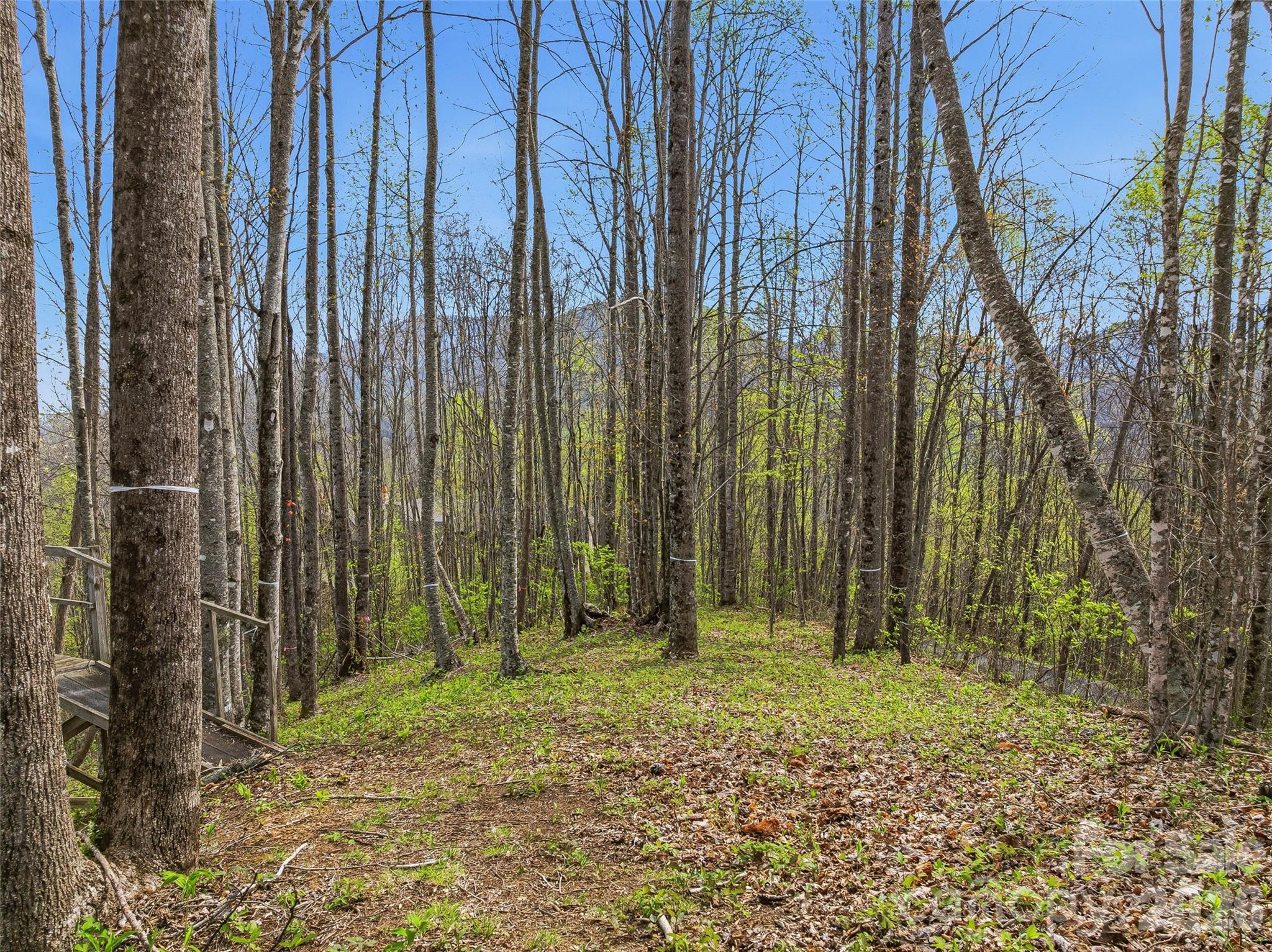#227 Flying Dutchman Road Property Photo 14