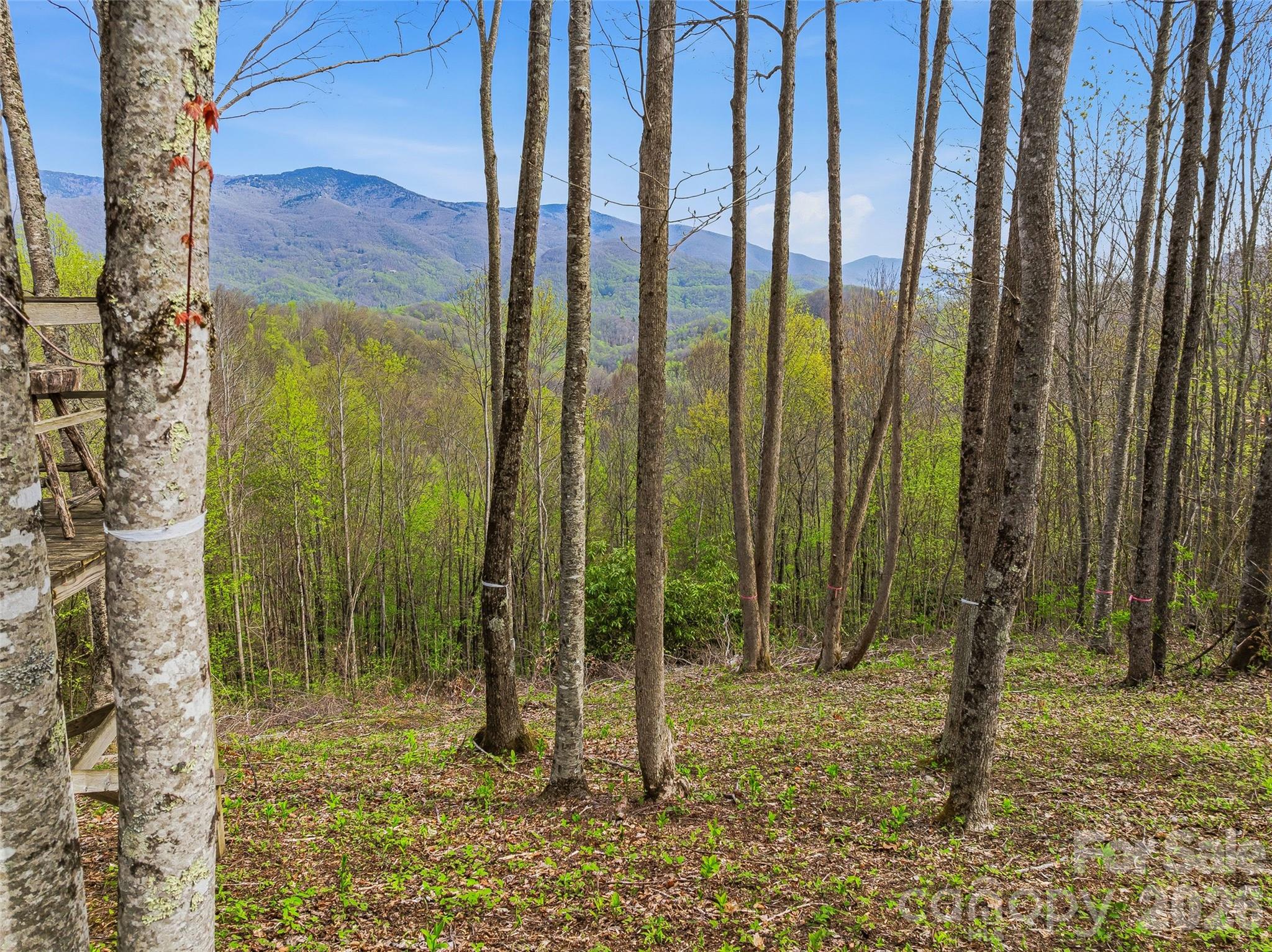 #227 Flying Dutchman Road Property Photo 15