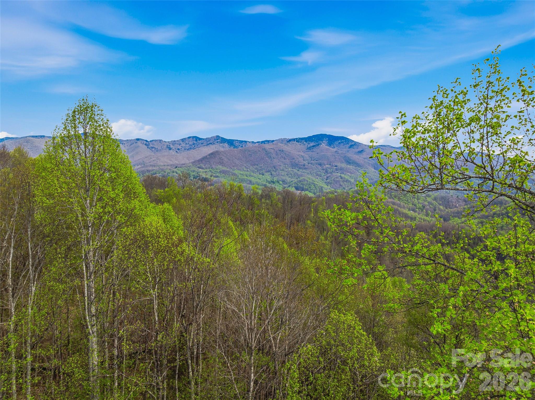 #227 Flying Dutchman Road Property Photo 18