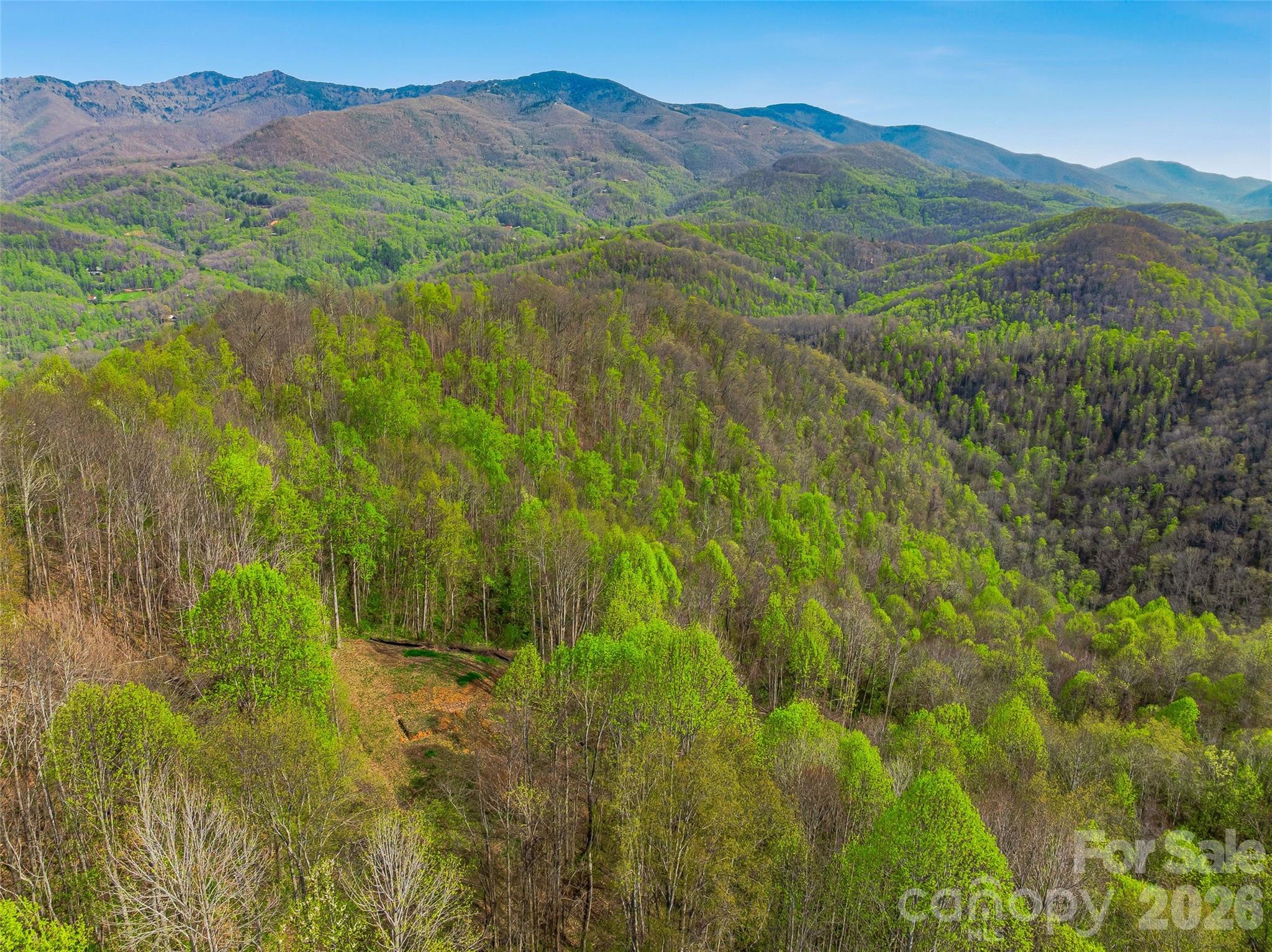 #227 Flying Dutchman Road Property Photo 19