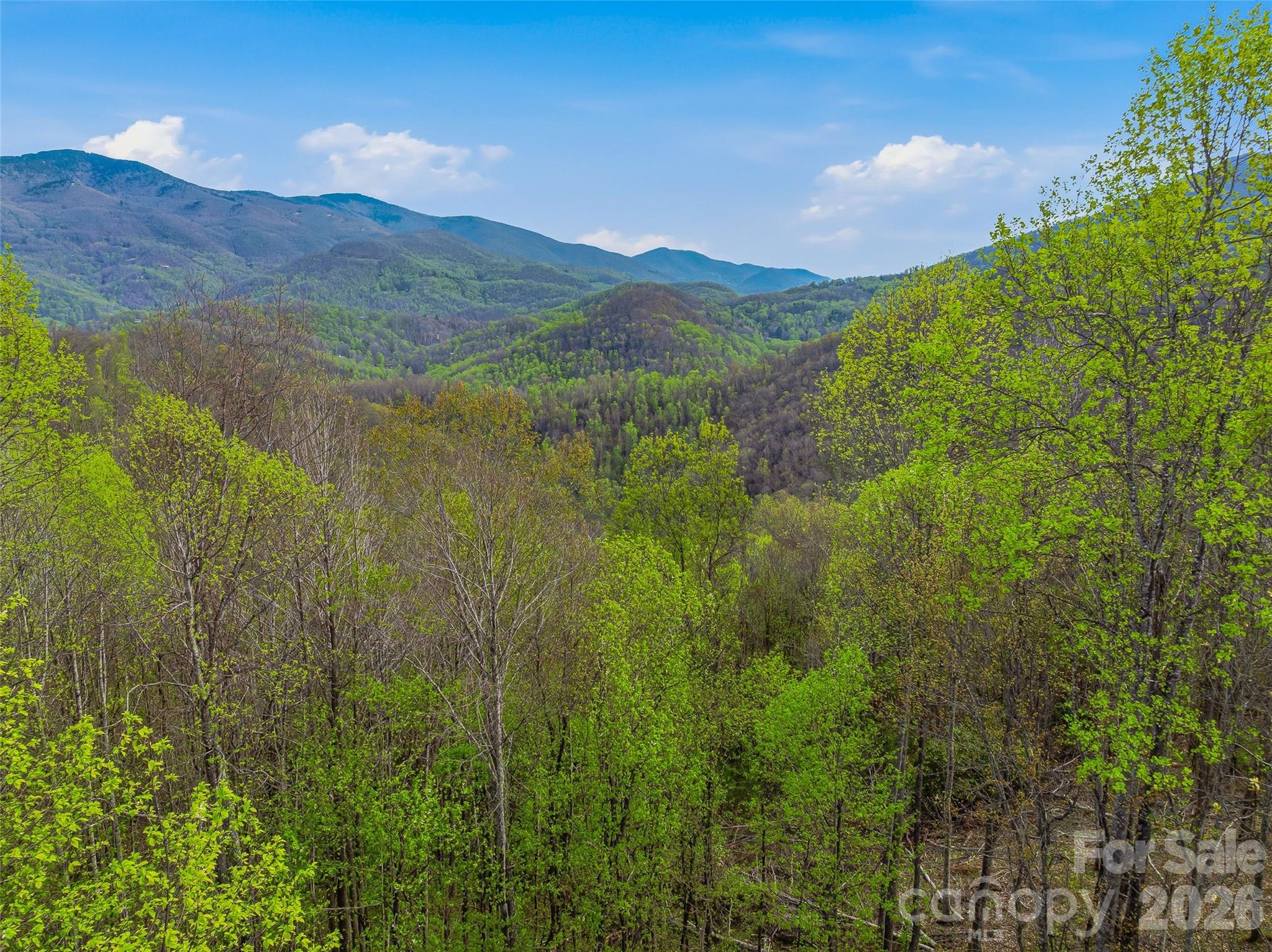 #227 Flying Dutchman Road Property Photo 20