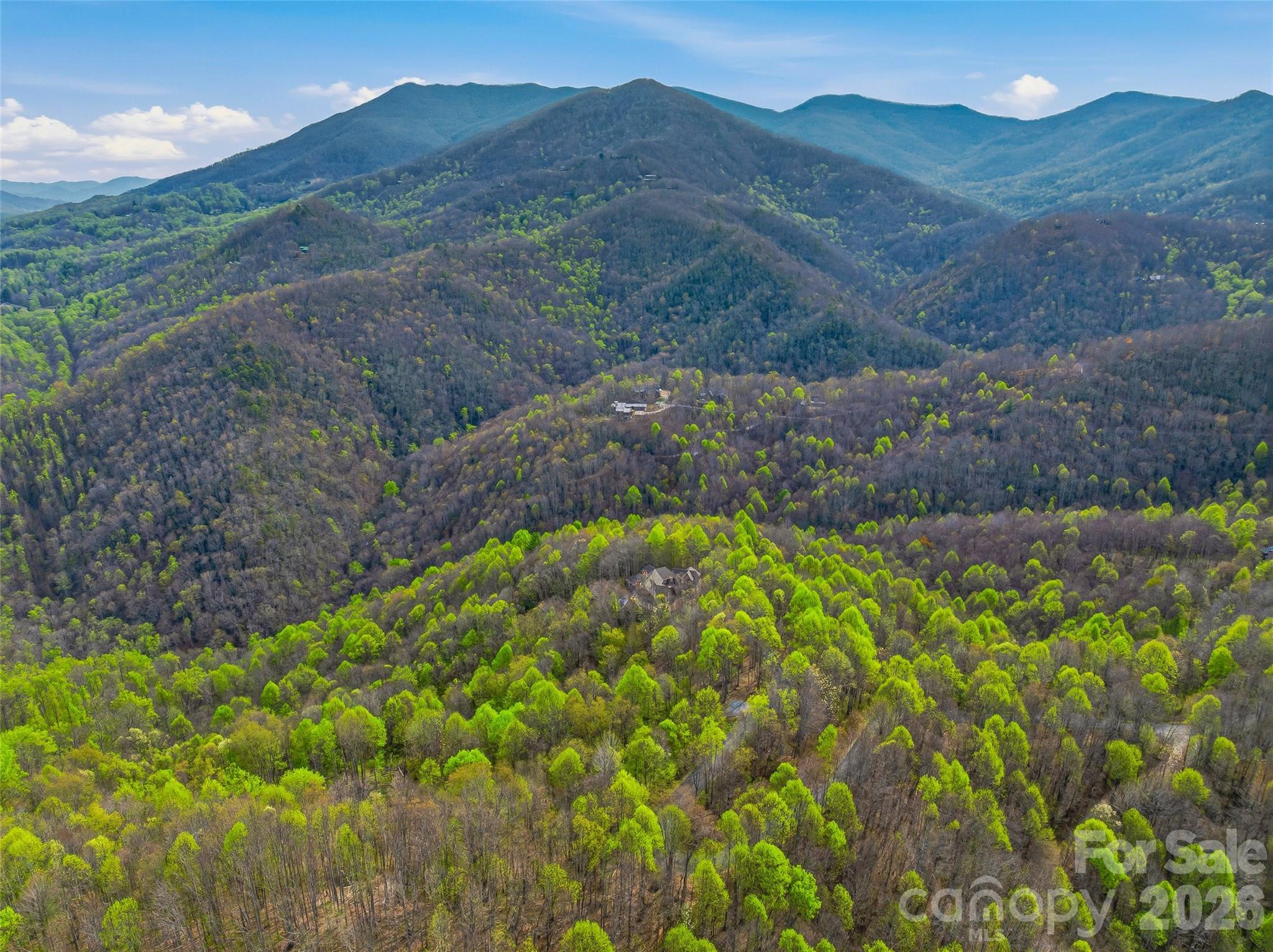 #227 Flying Dutchman Road Property Photo 21
