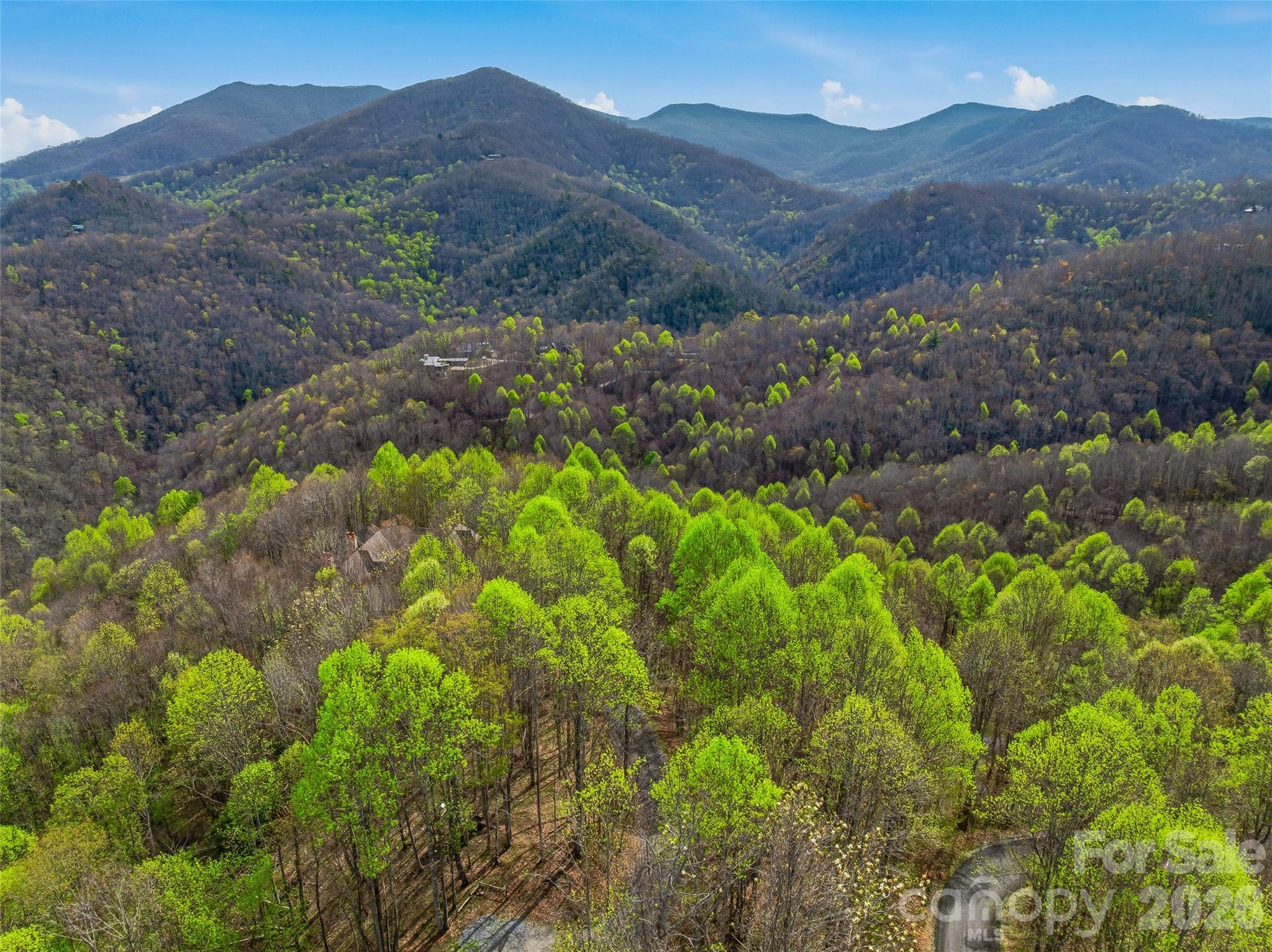 #227 Flying Dutchman Road Property Photo 25
