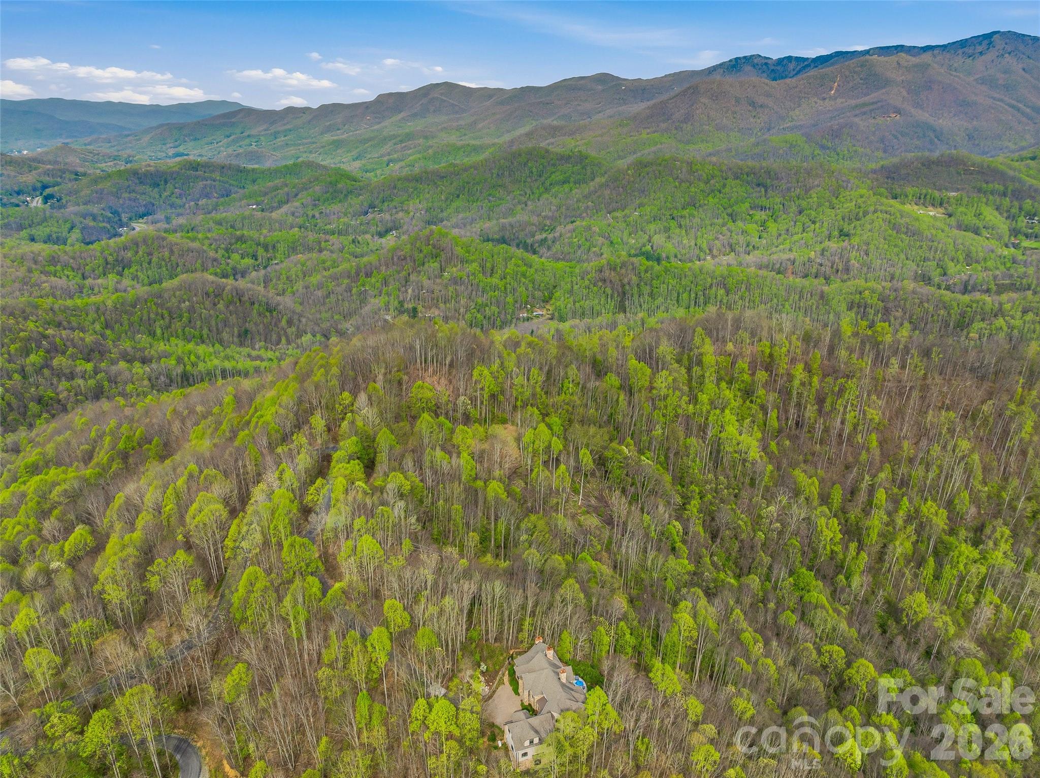 #227 Flying Dutchman Road Property Photo 26