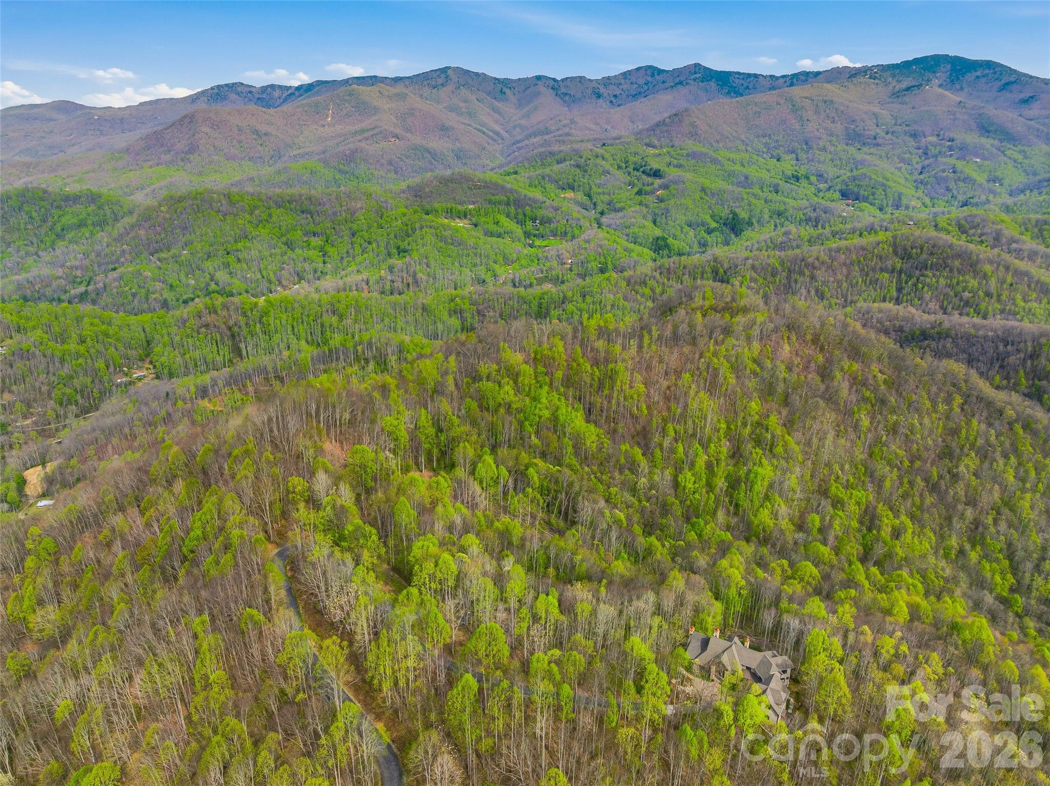 #227 Flying Dutchman Road Property Photo 27