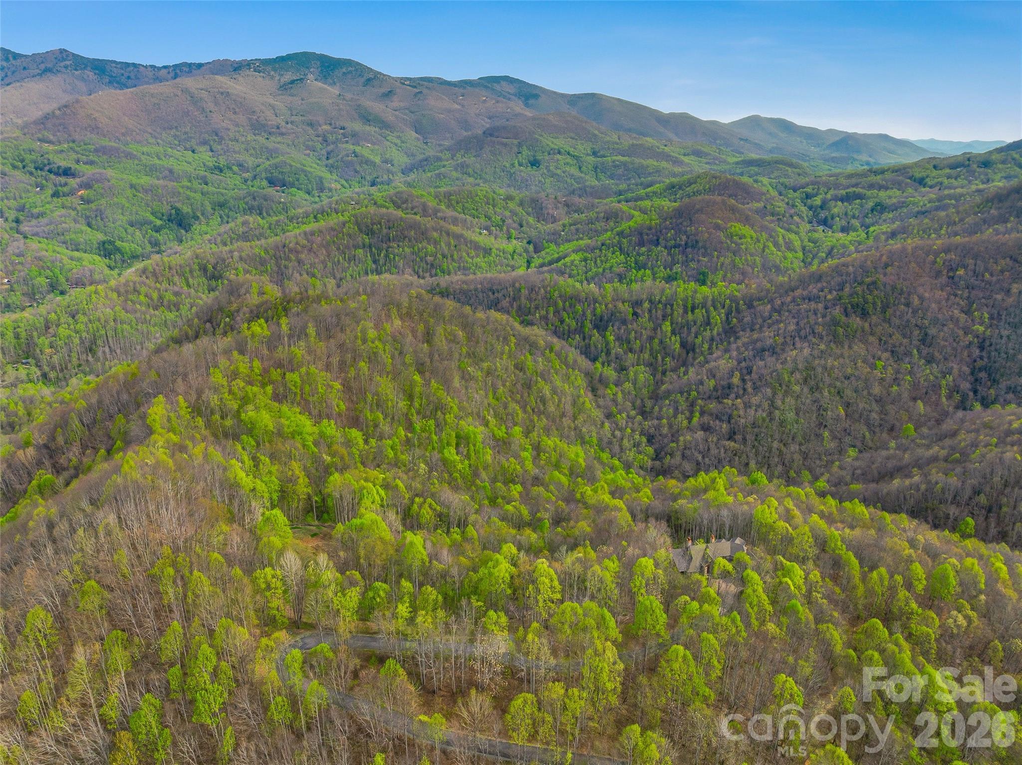#227 Flying Dutchman Road Property Photo 28