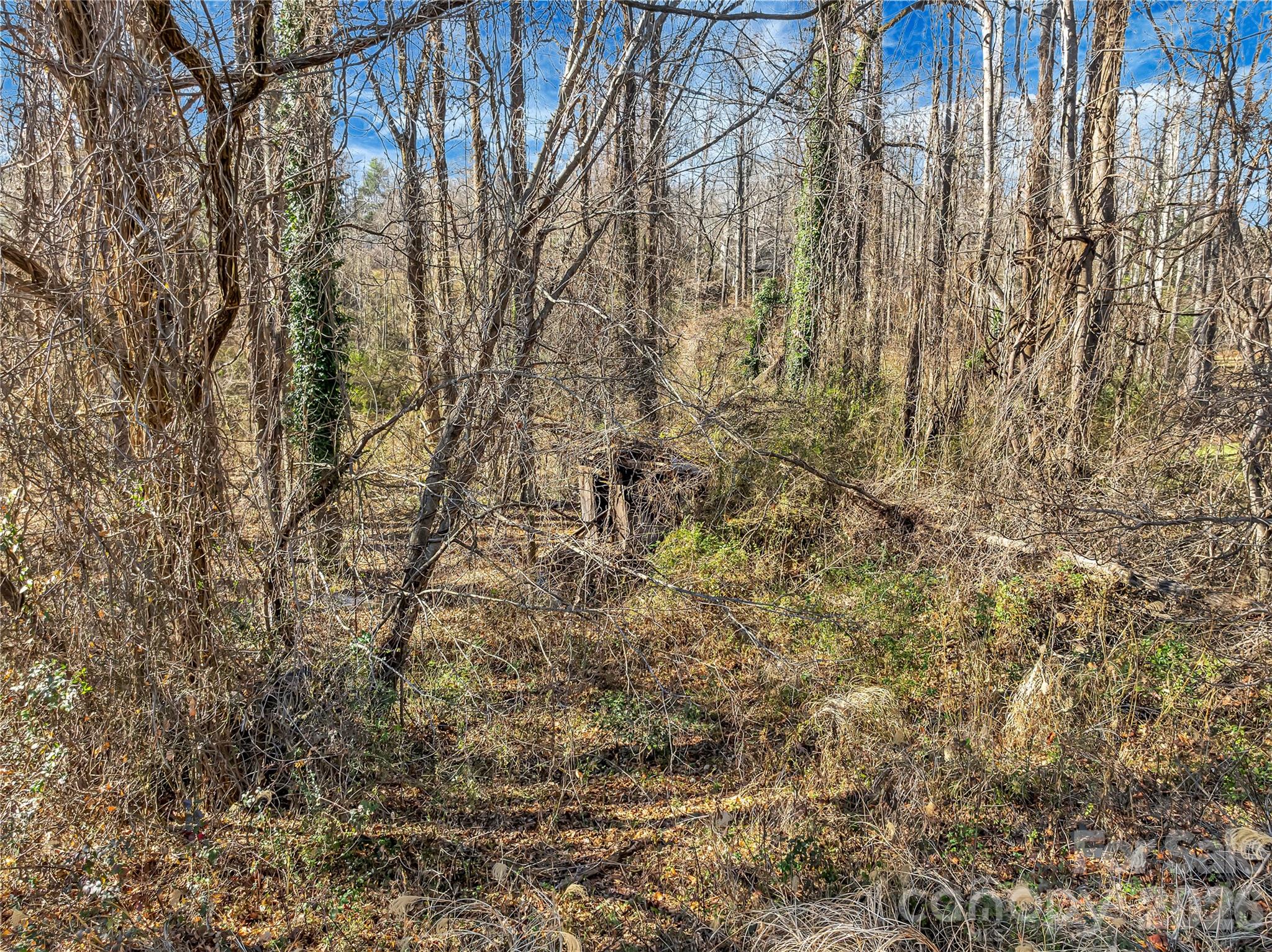 283 Ozone Drive Property Photo 14
