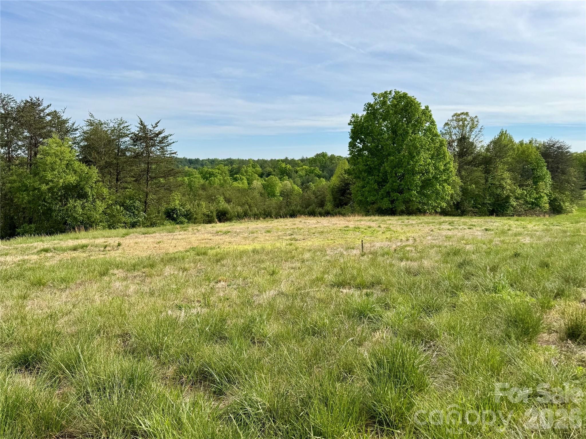 Lot G20, 2085 Thoroughbred Way G20 Property Photo 7