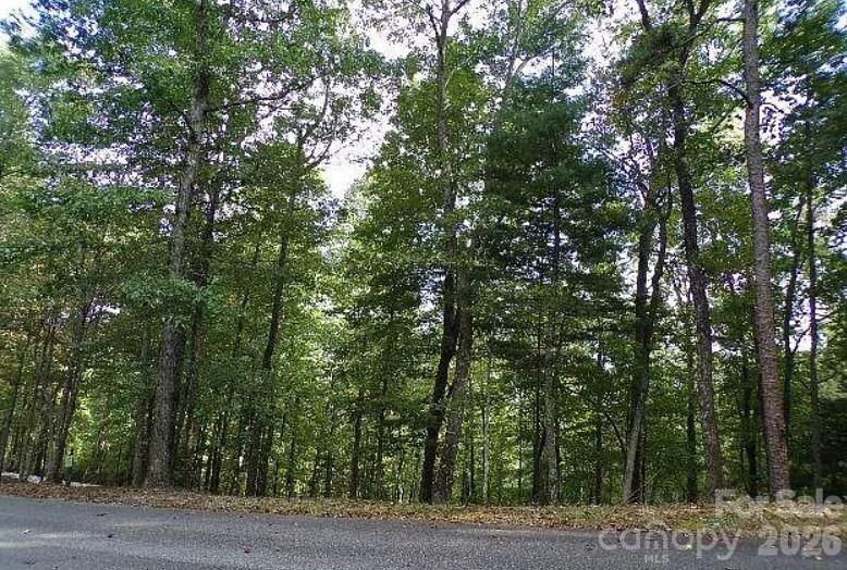 100 Black Bear Ridge Trail Property Photo 2