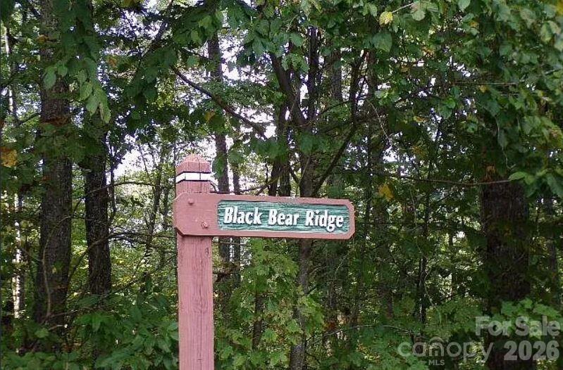 100 Black Bear Ridge Trail Property Photo 3