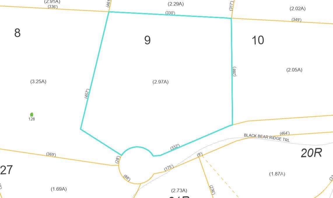 100 Black Bear Ridge Trail Property Photo 6