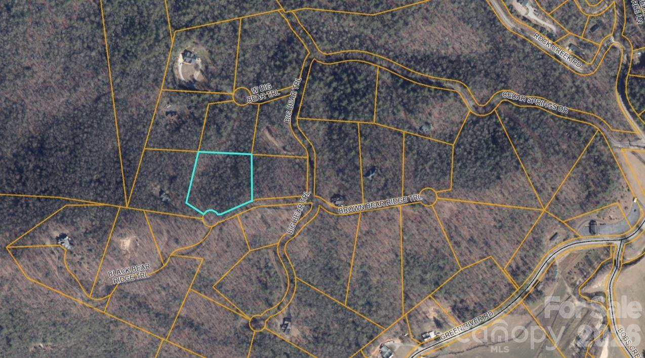 100 Black Bear Ridge Trail Property Photo 7