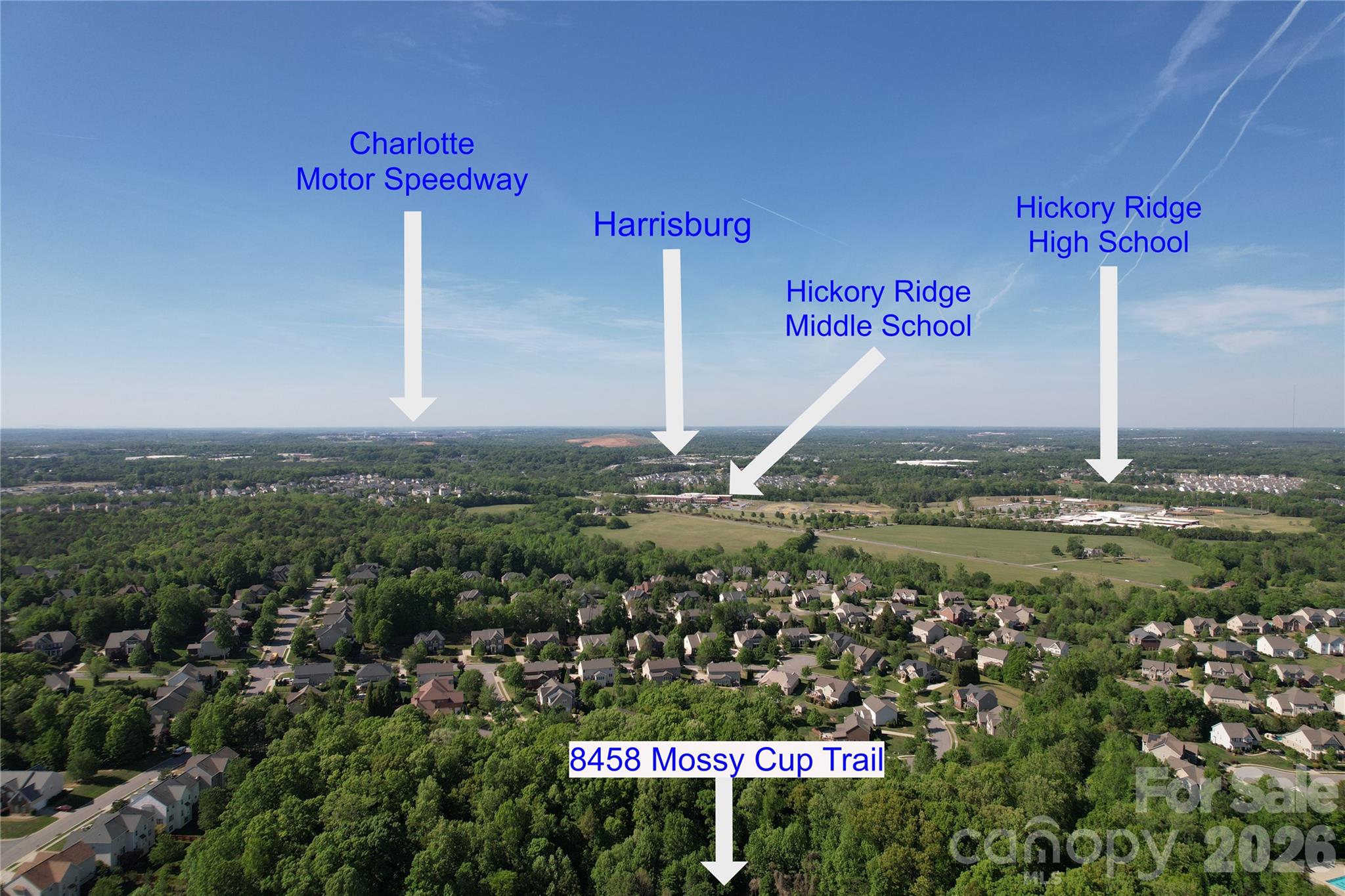 8458 Mossy Cup Trail Property Photo 43