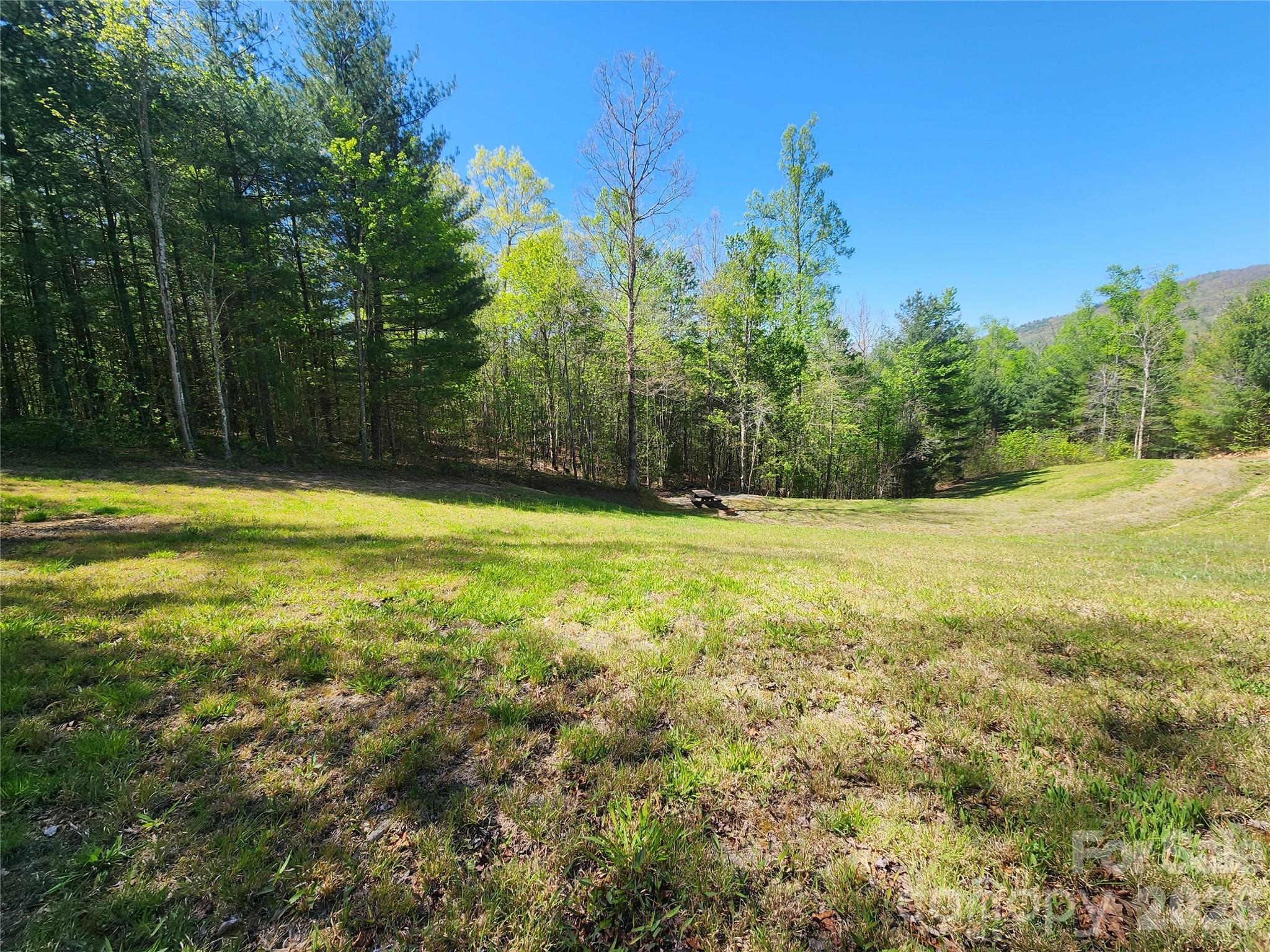 889 Firefly Trail Property Photo 3