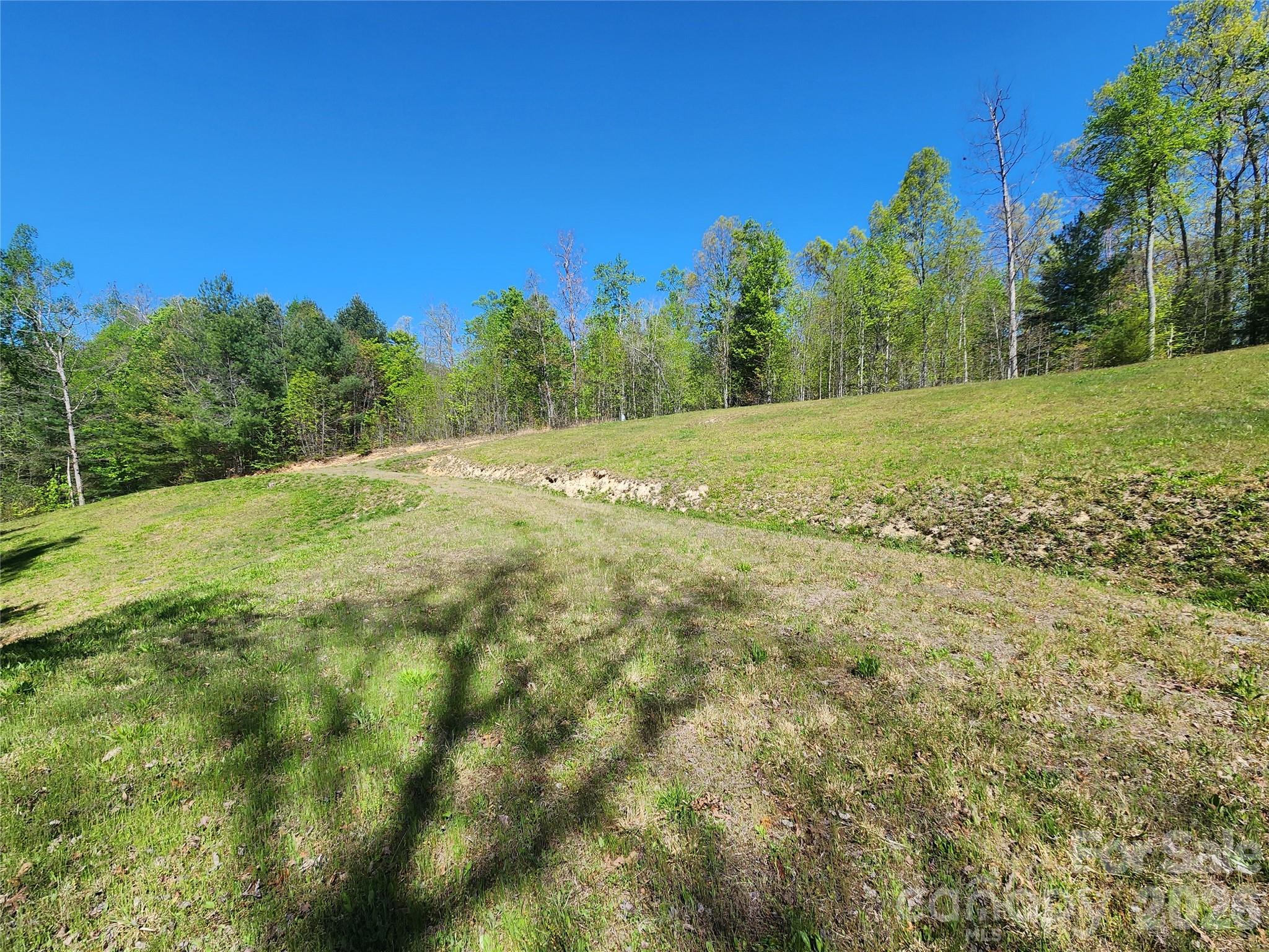 889 Firefly Trail Property Photo 5
