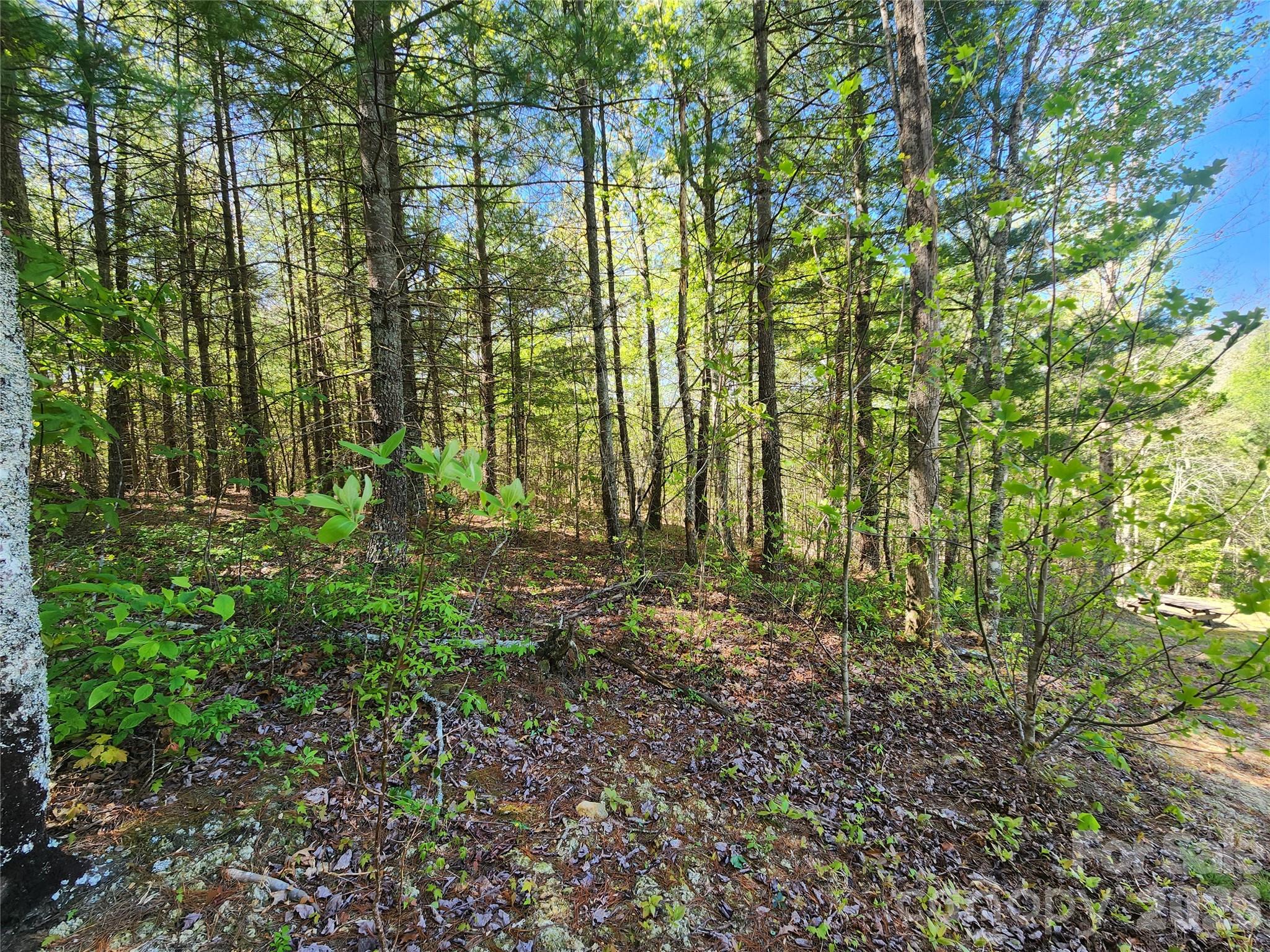 889 Firefly Trail Property Photo 9