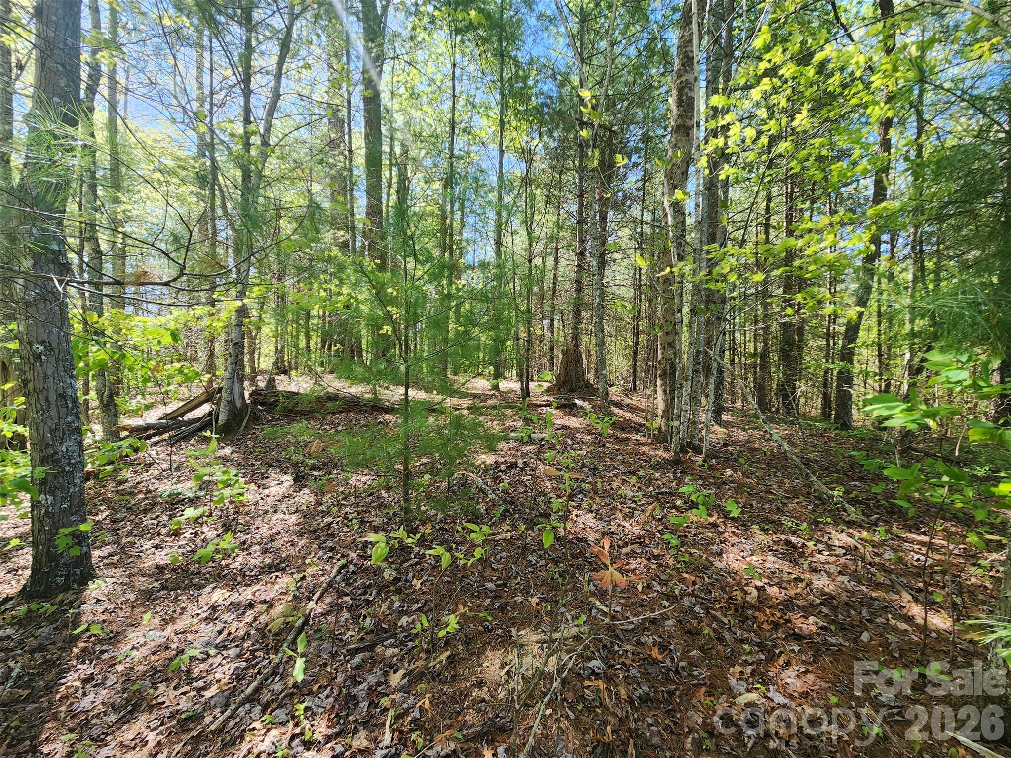 889 Firefly Trail Property Photo 10