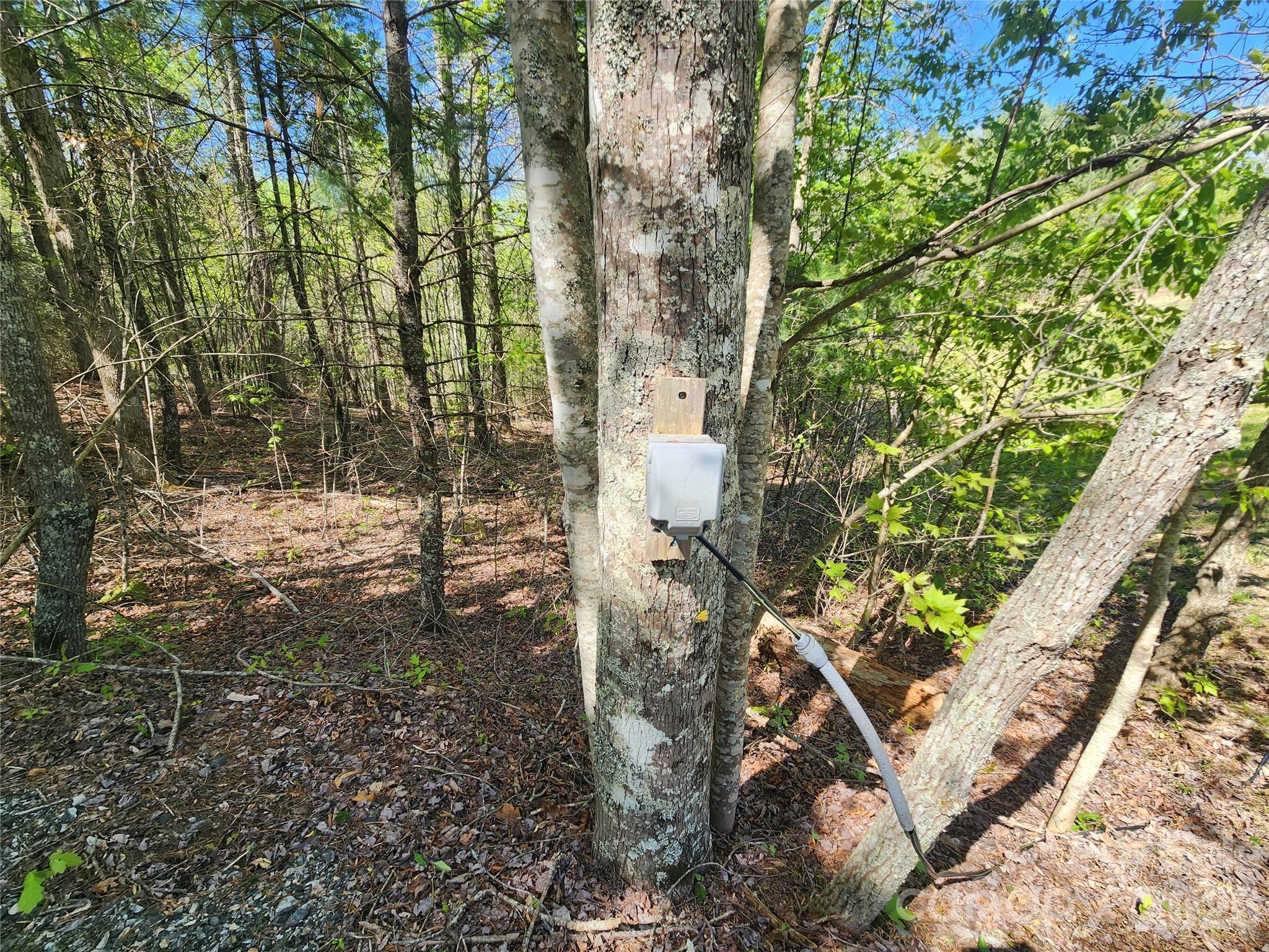 889 Firefly Trail Property Photo 12