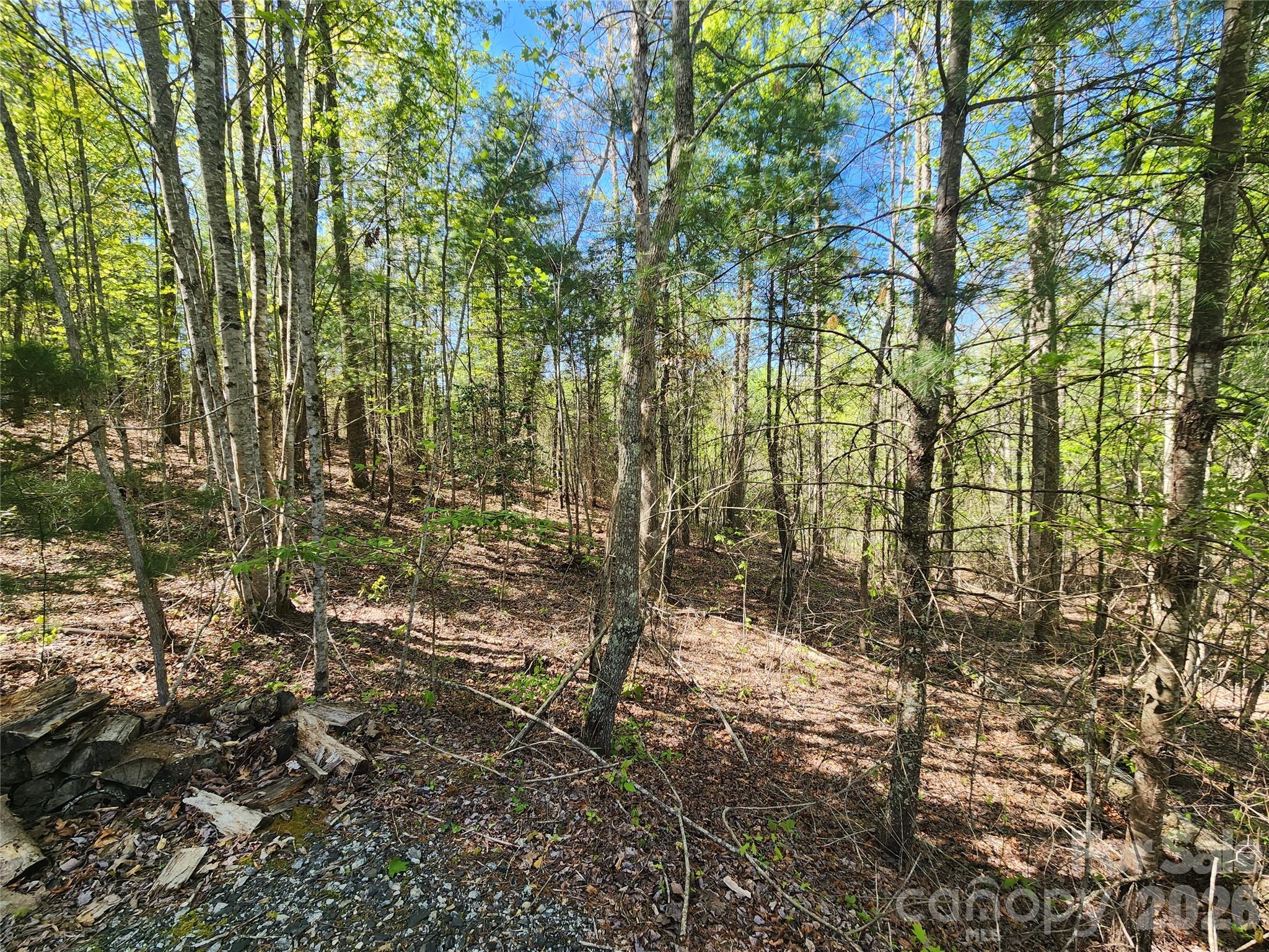 889 Firefly Trail Property Photo 13