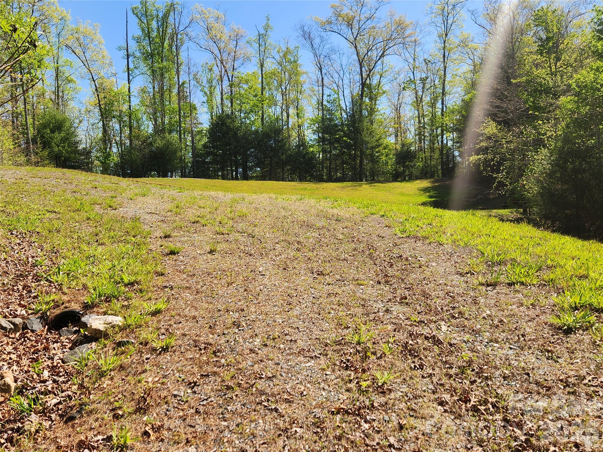 889 Firefly Trail Property Photo 14