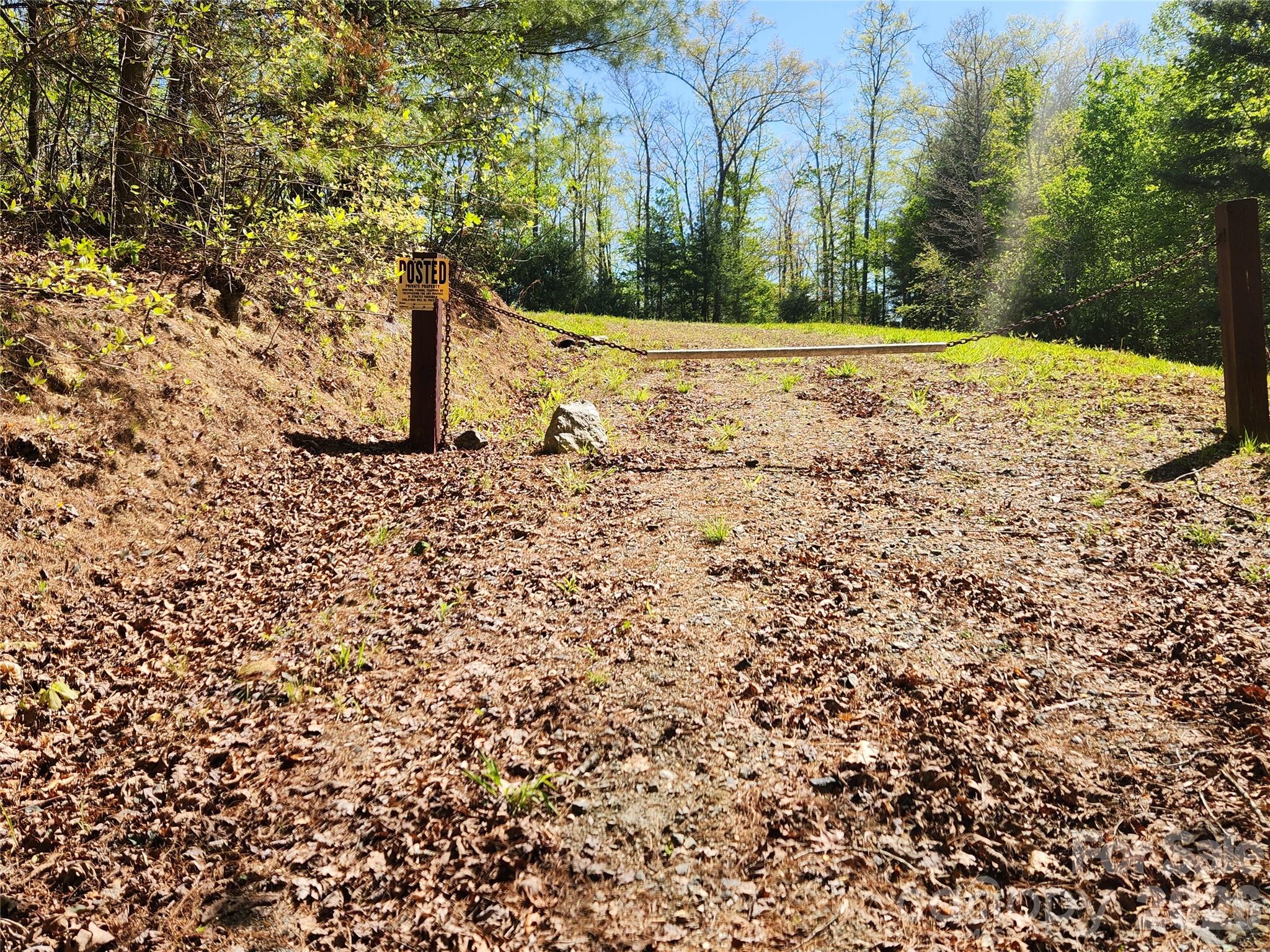 889 Firefly Trail Property Photo 17