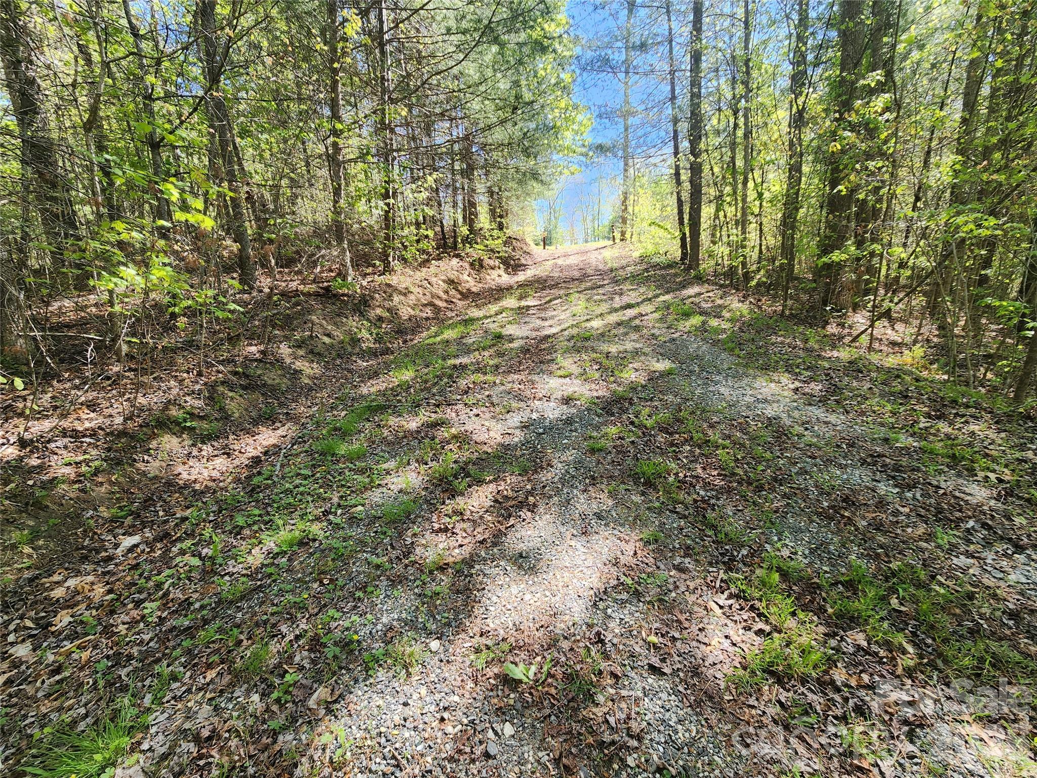 889 Firefly Trail Property Photo 18