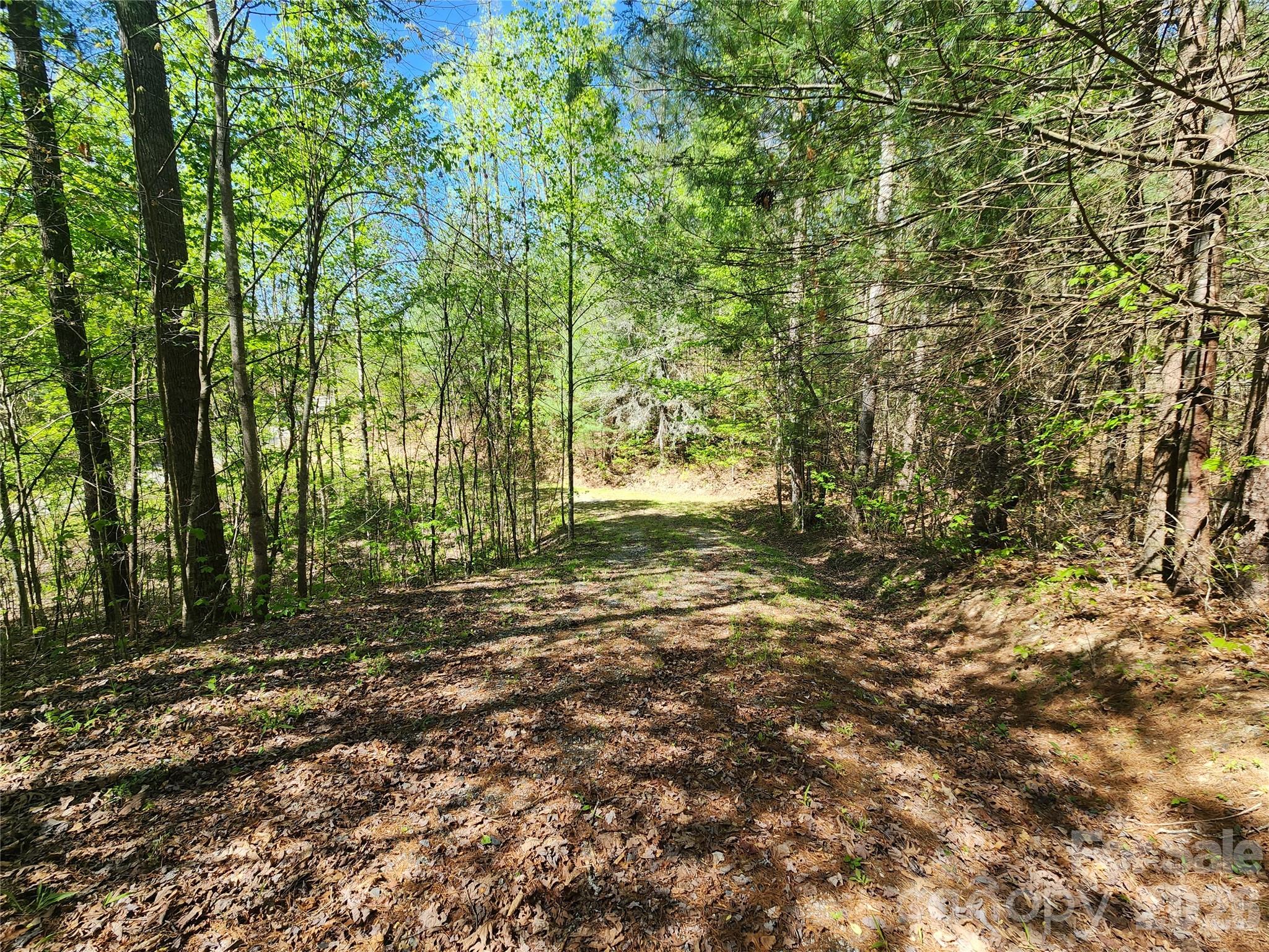 889 Firefly Trail Property Photo 19