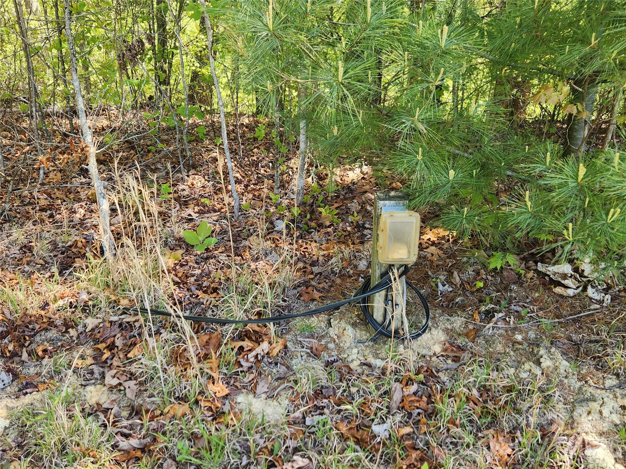 889 Firefly Trail Property Photo 25