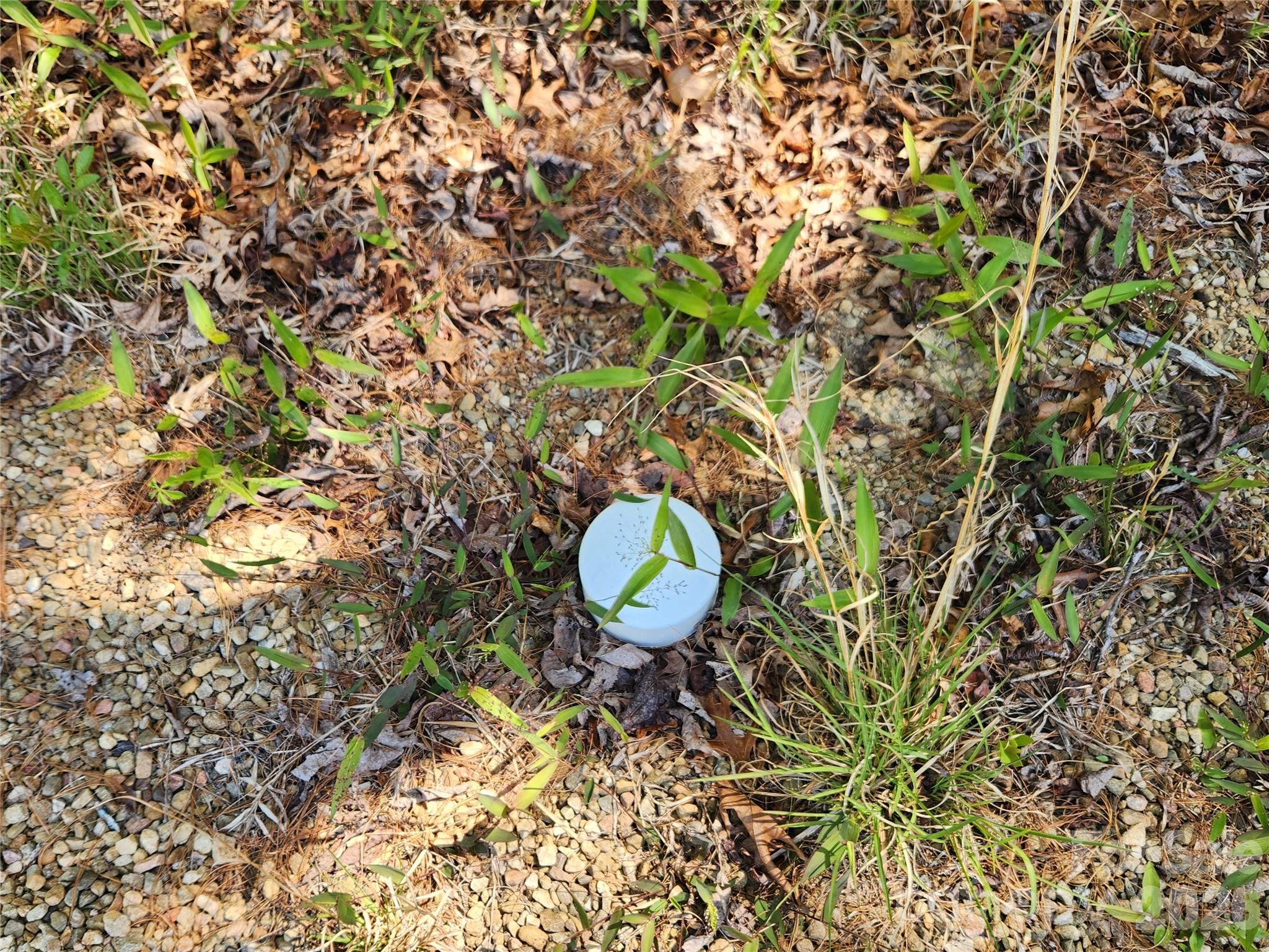 889 Firefly Trail Property Photo 26